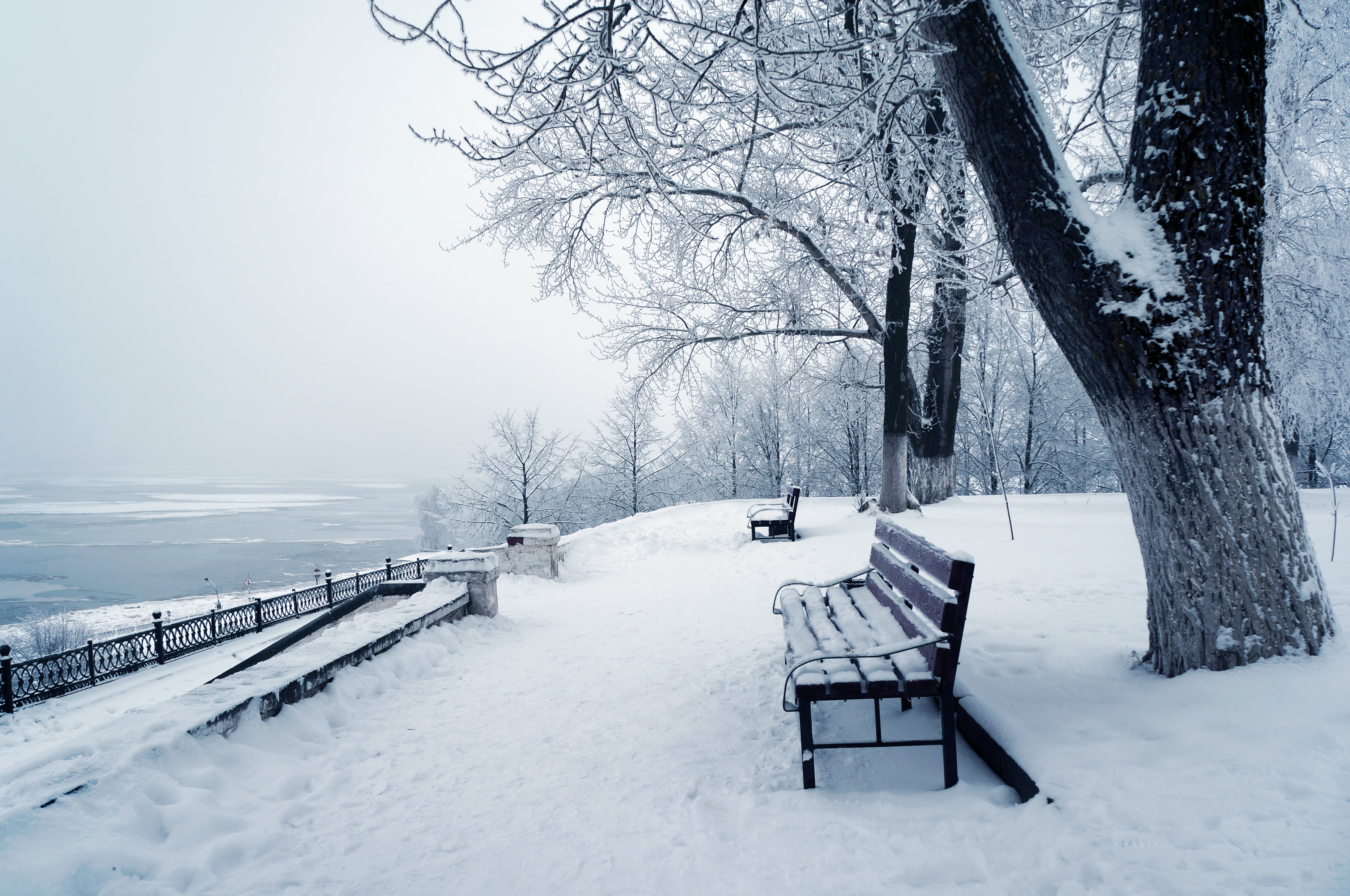 Snow wallpaper. Зимний парк. Зима в парке. Парк зимой. В зимнем парке.