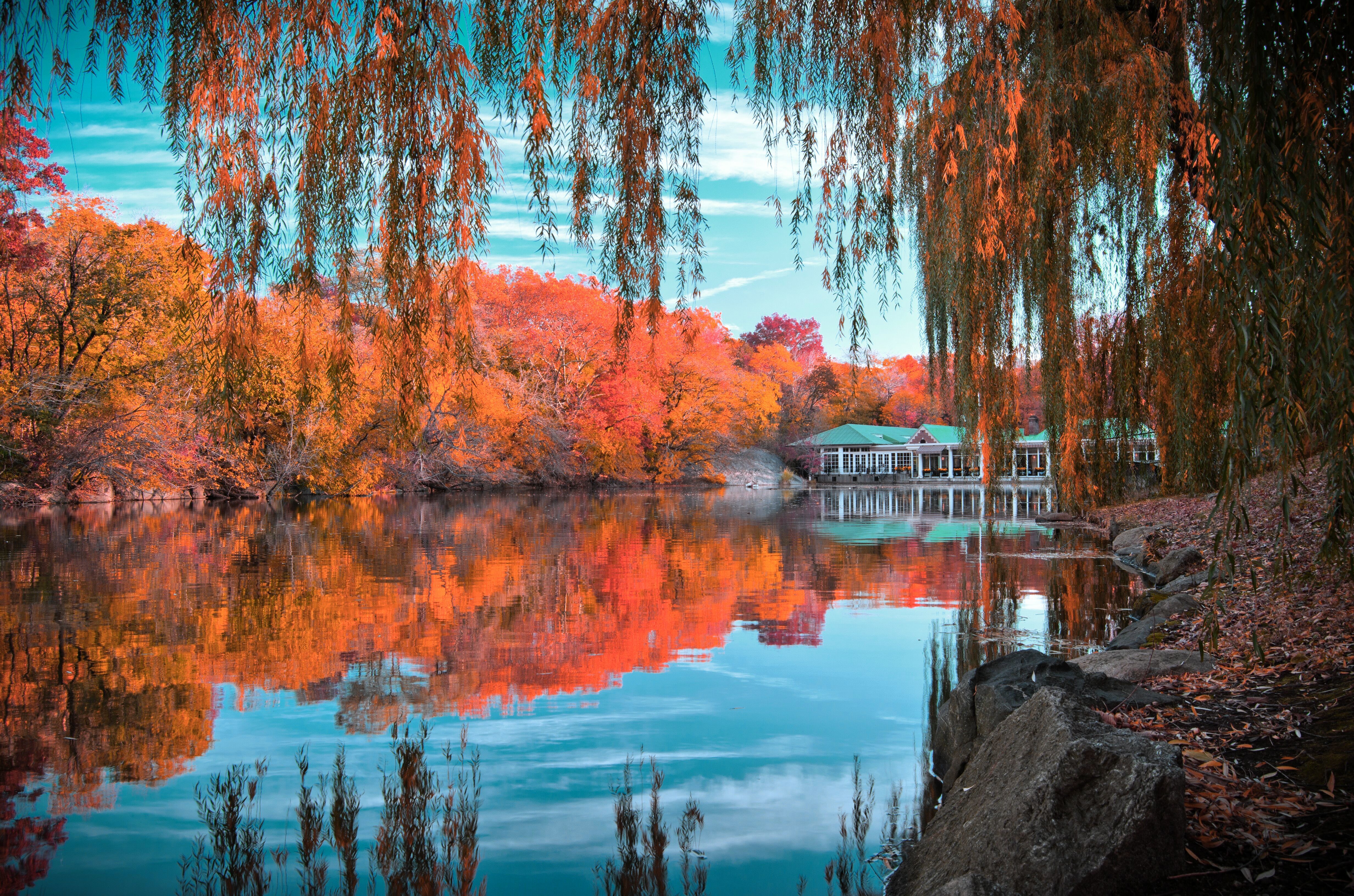 Fall scenes. Центральный парк Нью-Йорк. Осеннее озеро. Осень озеро. Река осенью.
