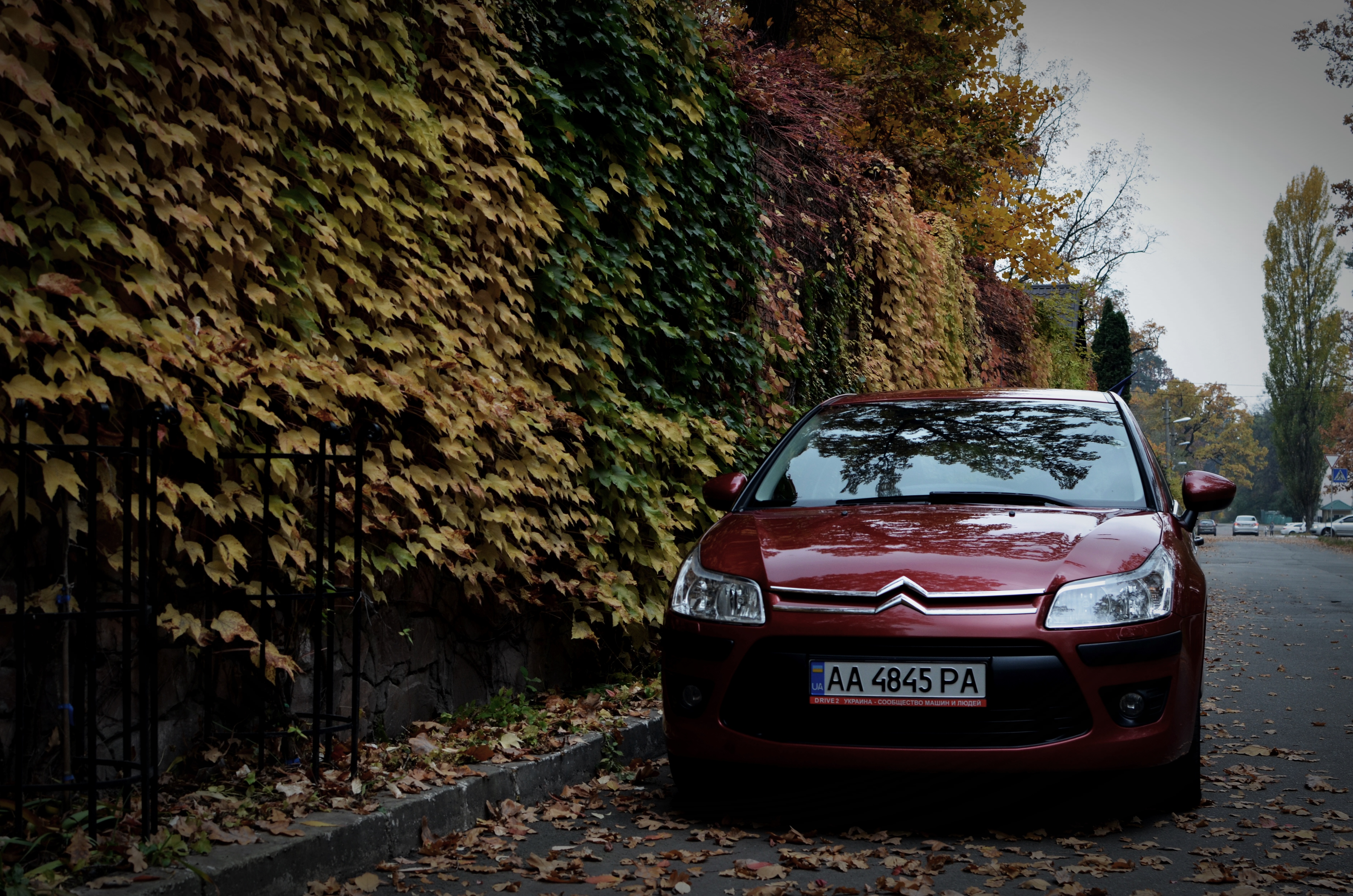 Скачать обои машина, осень, листья, Ситроен, Citroen, Car, автомобиль,  France, раздел citroen в разрешении 4928x3264