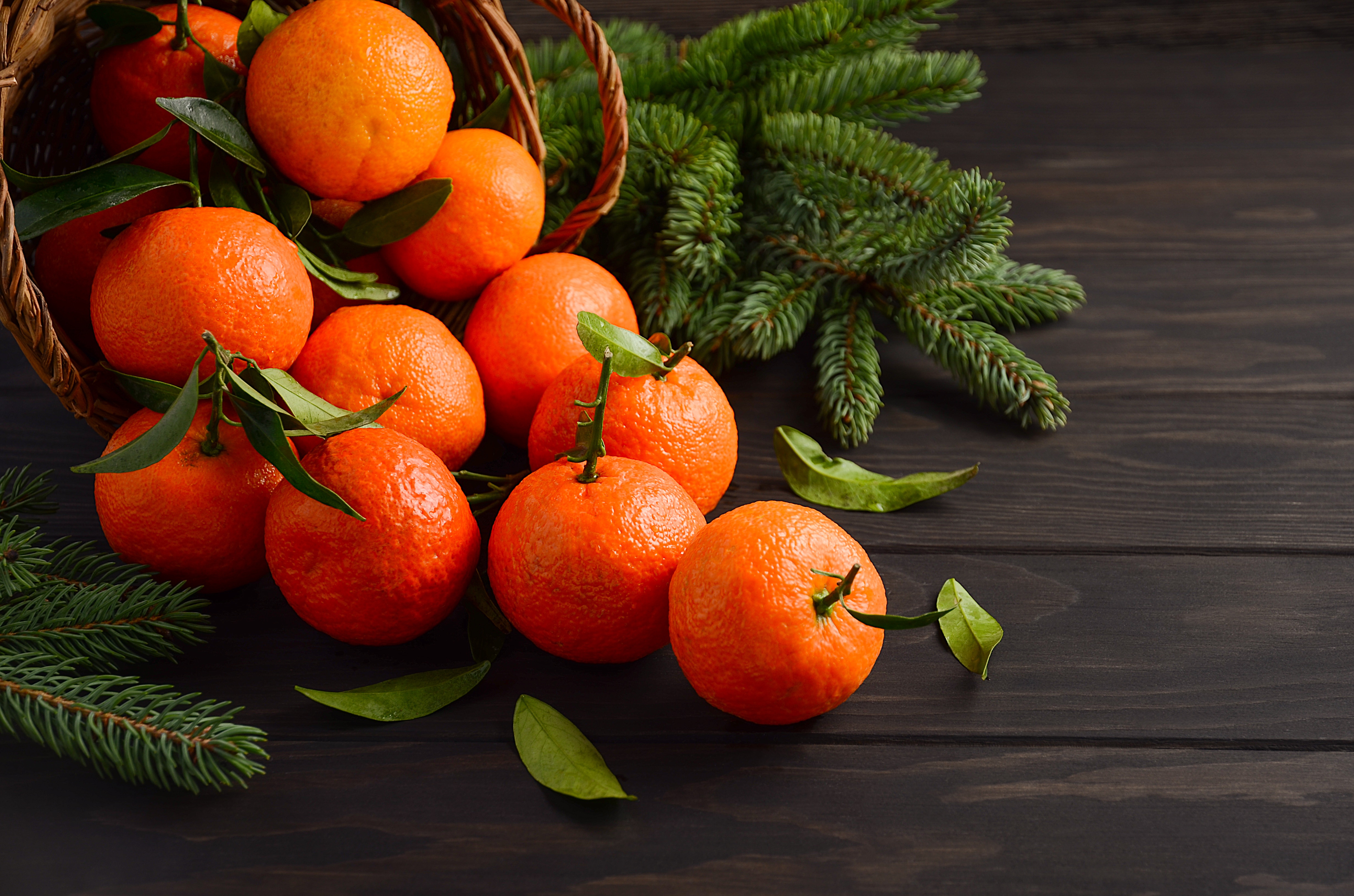 Мандарины 2013 отзывы. Egyptian Citrus мандарины. Мандарины новый год. Мандарины на новогоднем столе. Мандарины и елка.