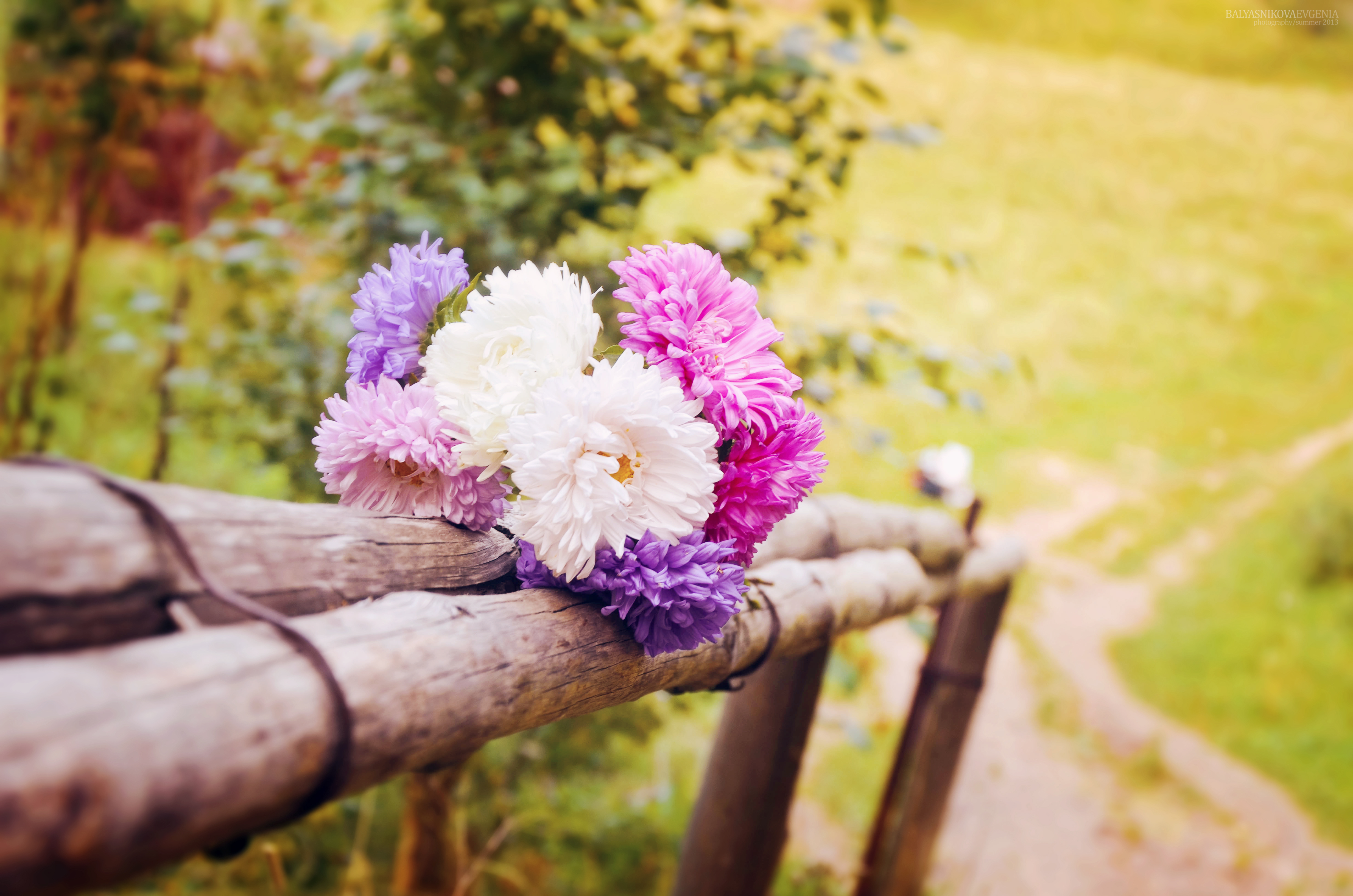 My flowers are beautiful. Цветы на скамейке. Природа цветы. Летние цветы. Красивый летний букет.