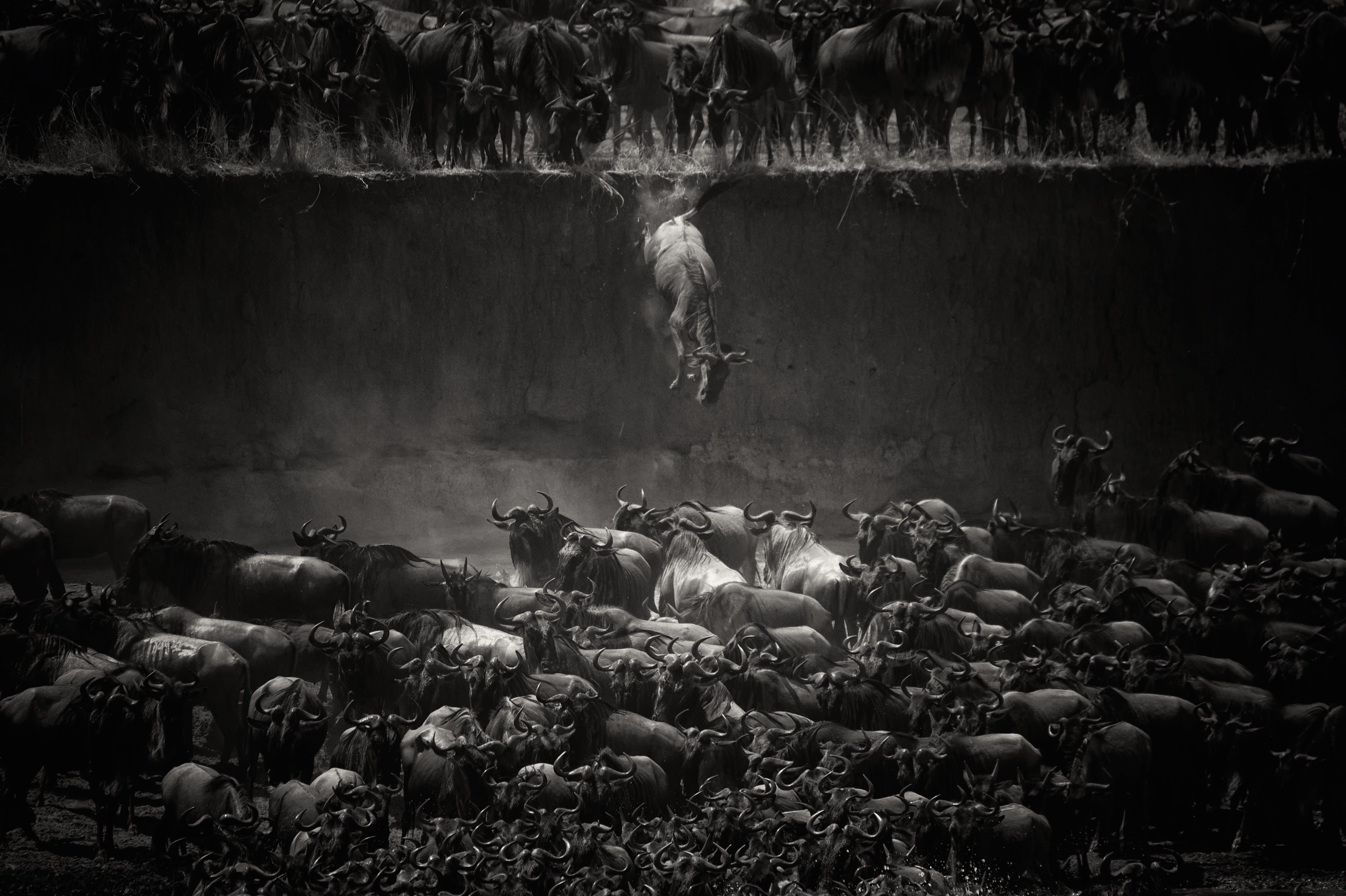 Старый ад. Себастьян Сальгадо лес. Победители фотоконкурса National Geographic. Себастьян Сальгадо латинская Америка.