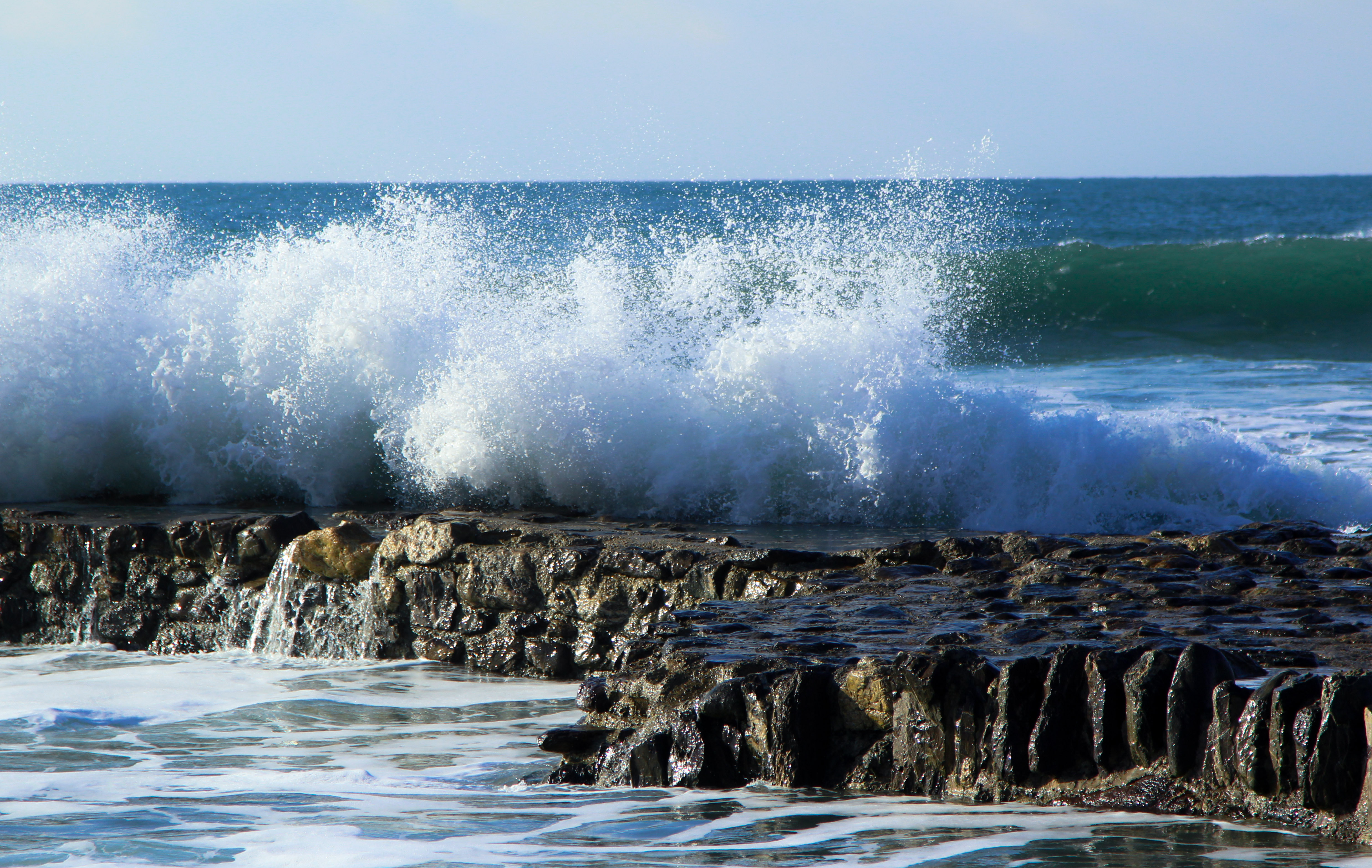 Волна на рида. Море, волны. Прибой. Волны Прибой. Море фото.