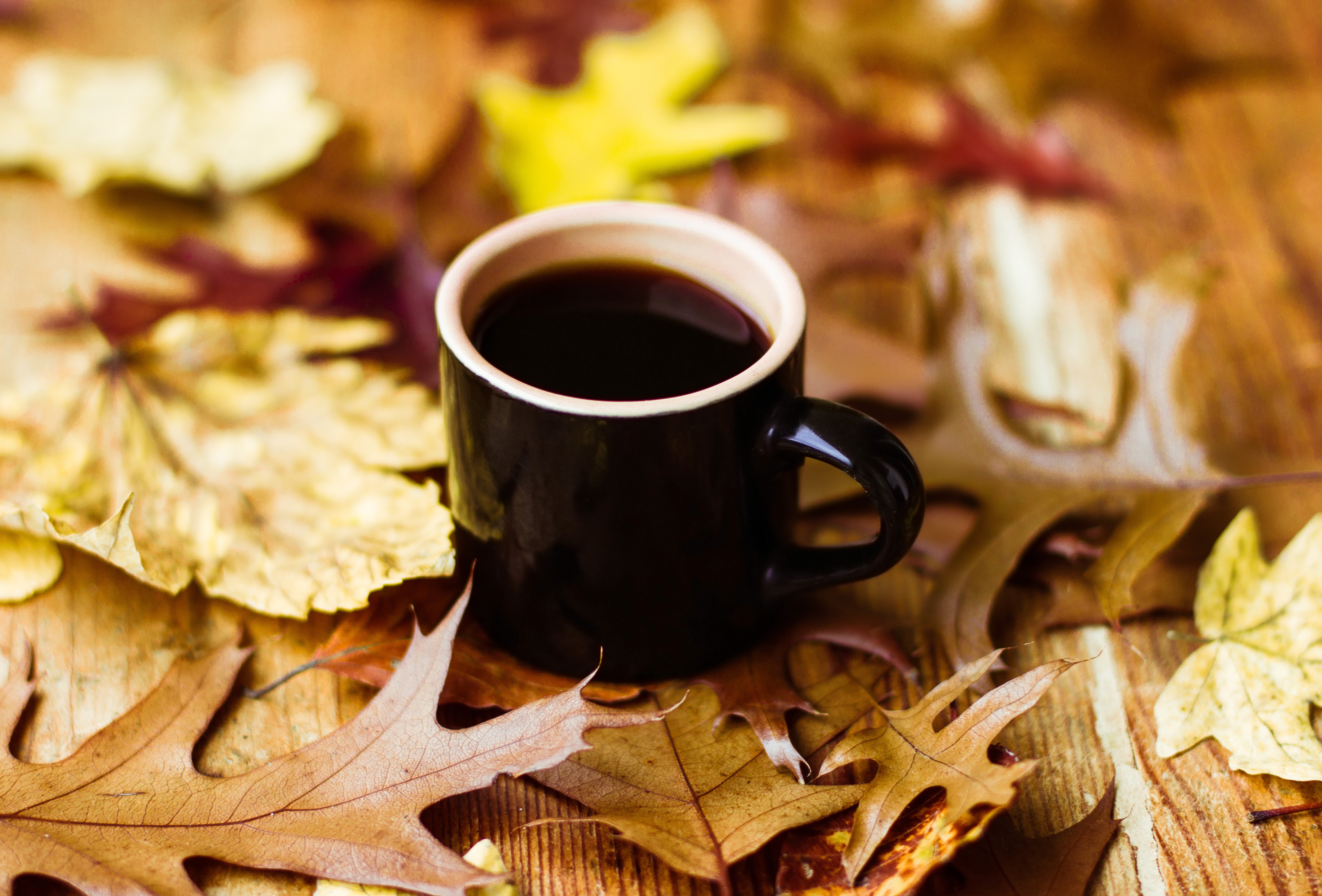 Осеннее кофе. Осень кофе. Чашка кофе осень. Осеннее утро. Осенняя чашечка кофе.