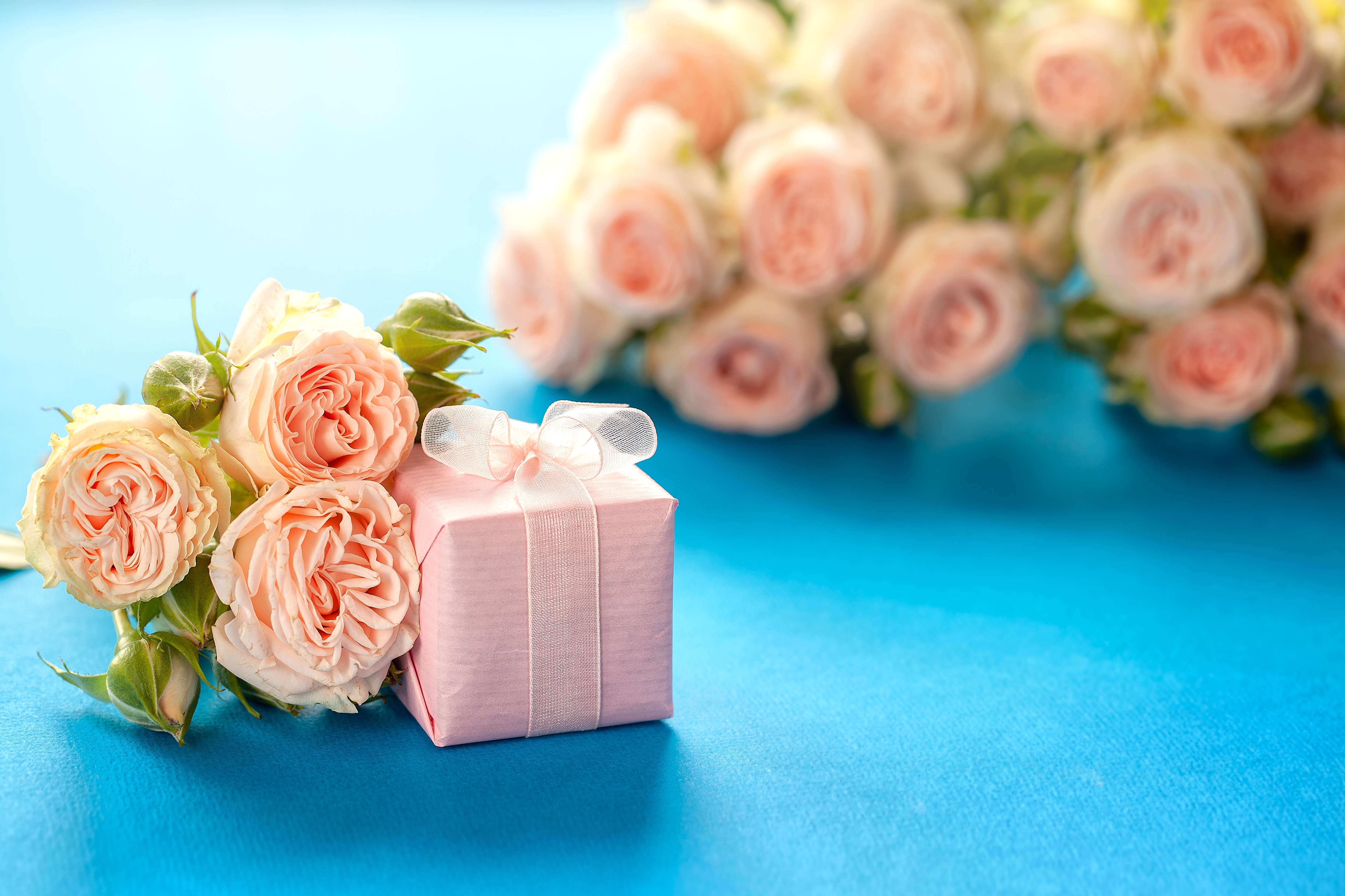 Открытка с днем розовой. Нежный цветок. Букет цветов фон. Нежный букет на день рождения. Розовые розы и подарок.