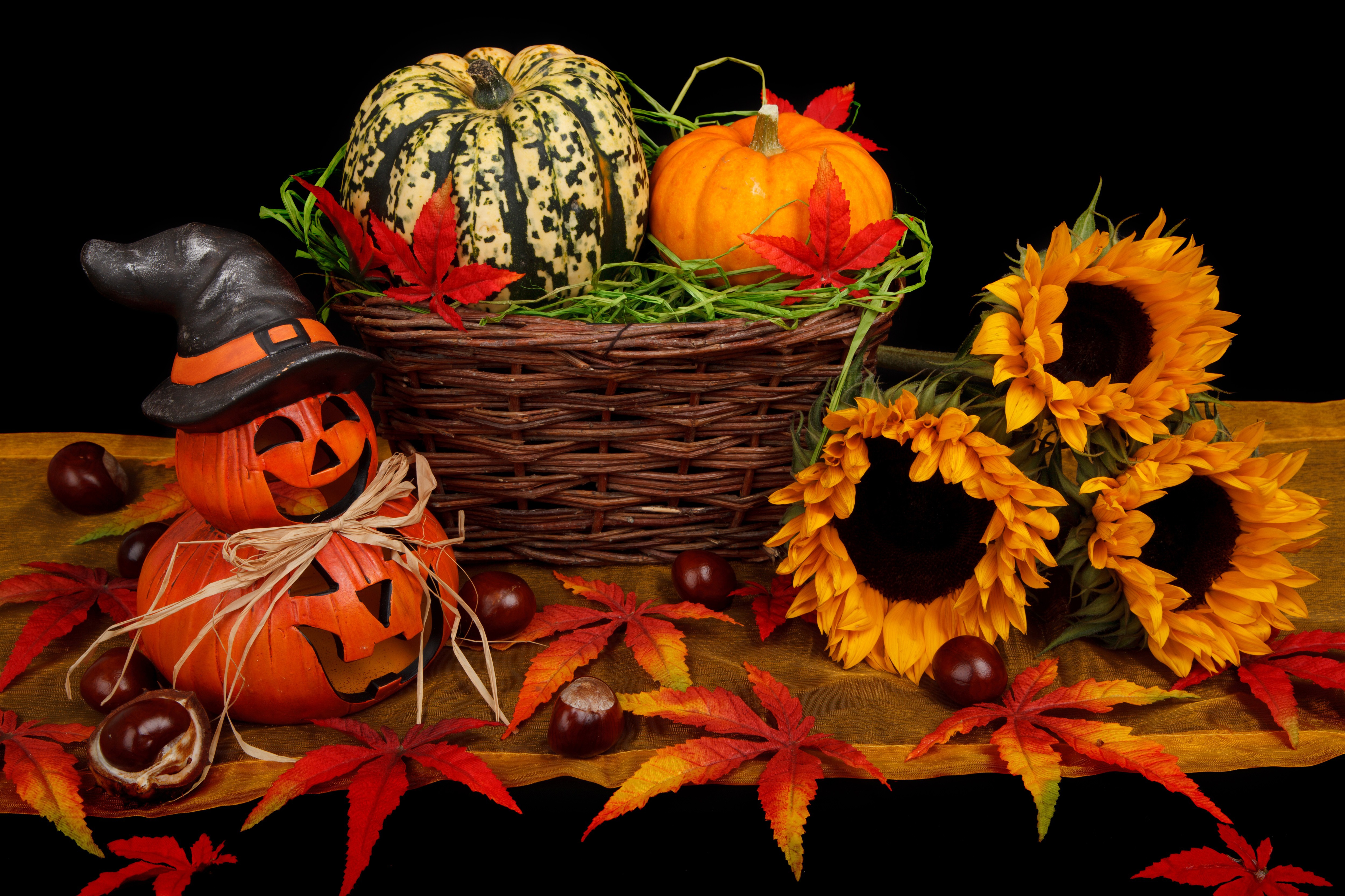 Осенний праздник тыквы. Осень тыквы. Праздник осени. Осенняя композиция с тыквой. Осень тыквы Хэллоуин.