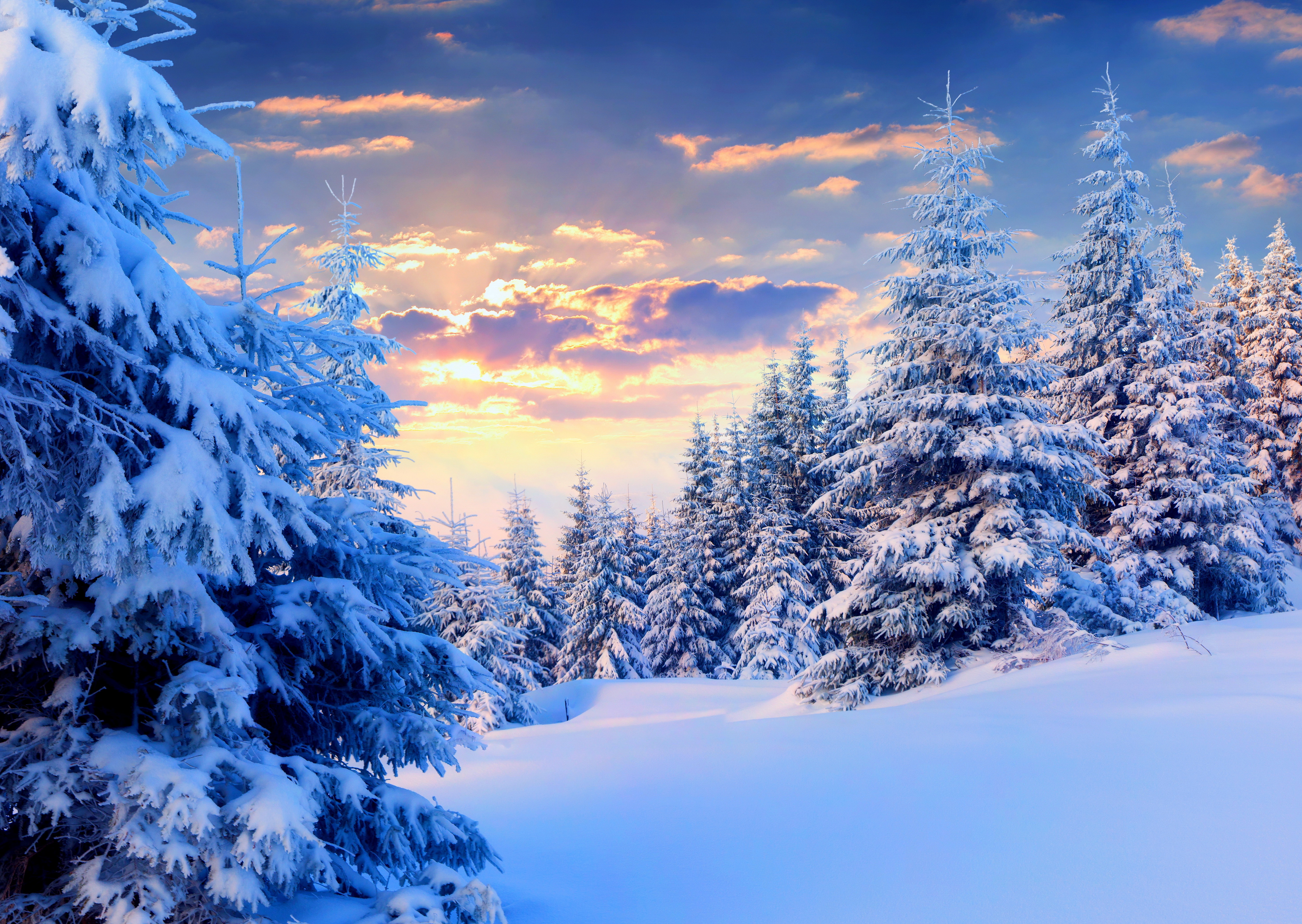 Картинки зима красивые