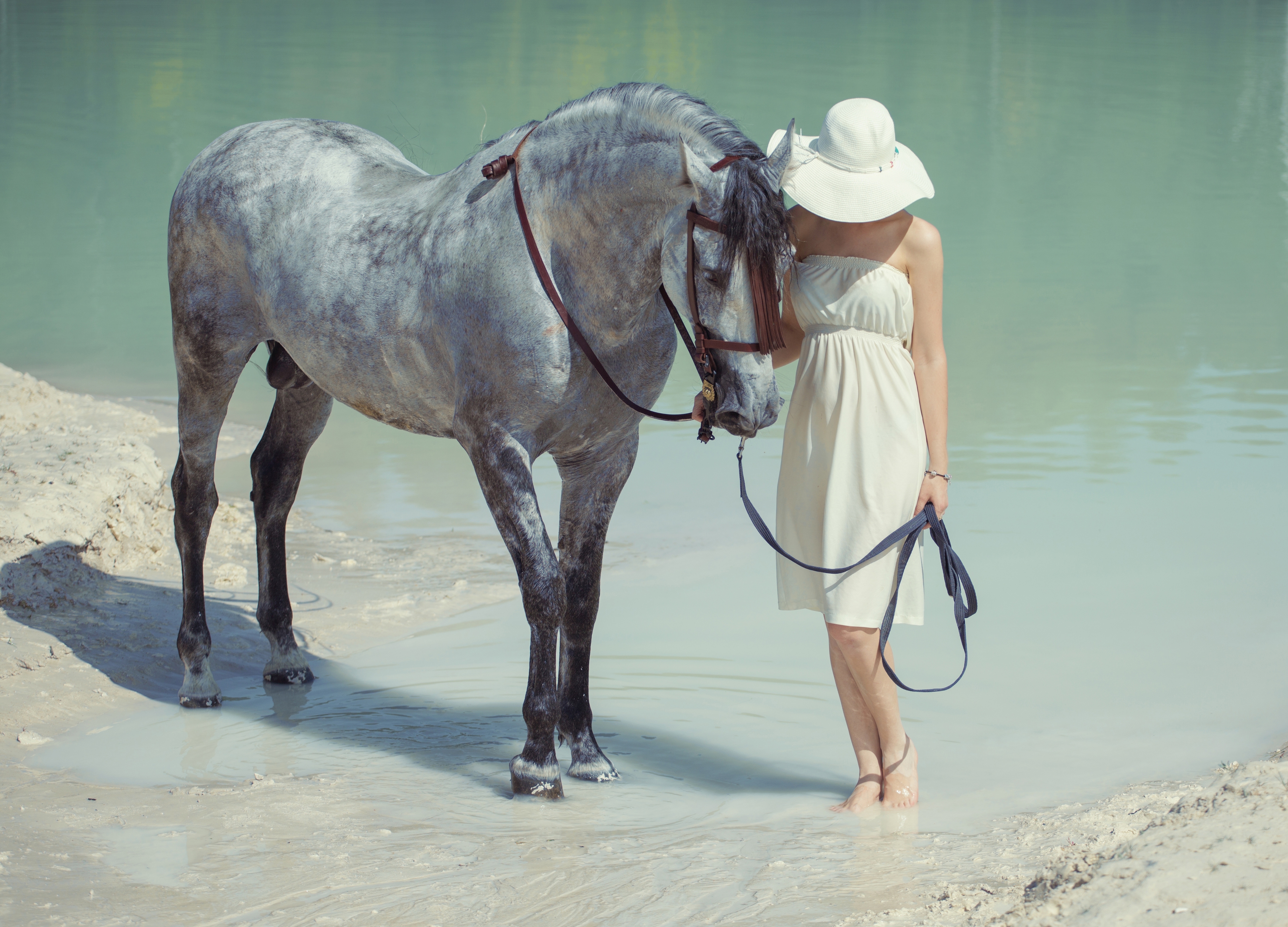 Подам лошадь. Девушка с лошадью. Фотосессия с лошадью в платье. Фотосессия с лошадью в воде. Девушка на коне.