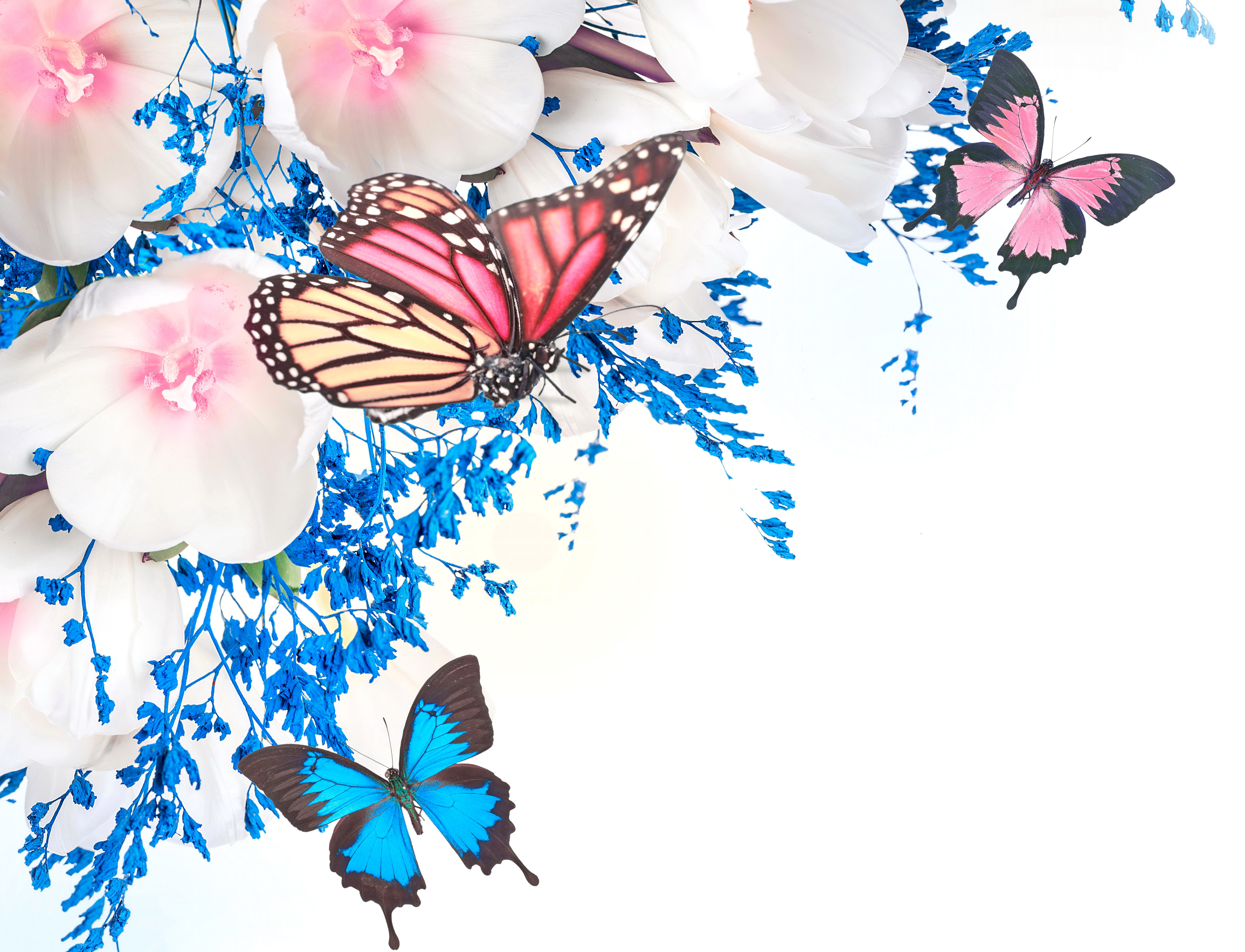 Голубые бабочки фон. Фон бабочки. Красивый фон с бабочками. Фон с цветами и бабочками. Фотообои бабочки.