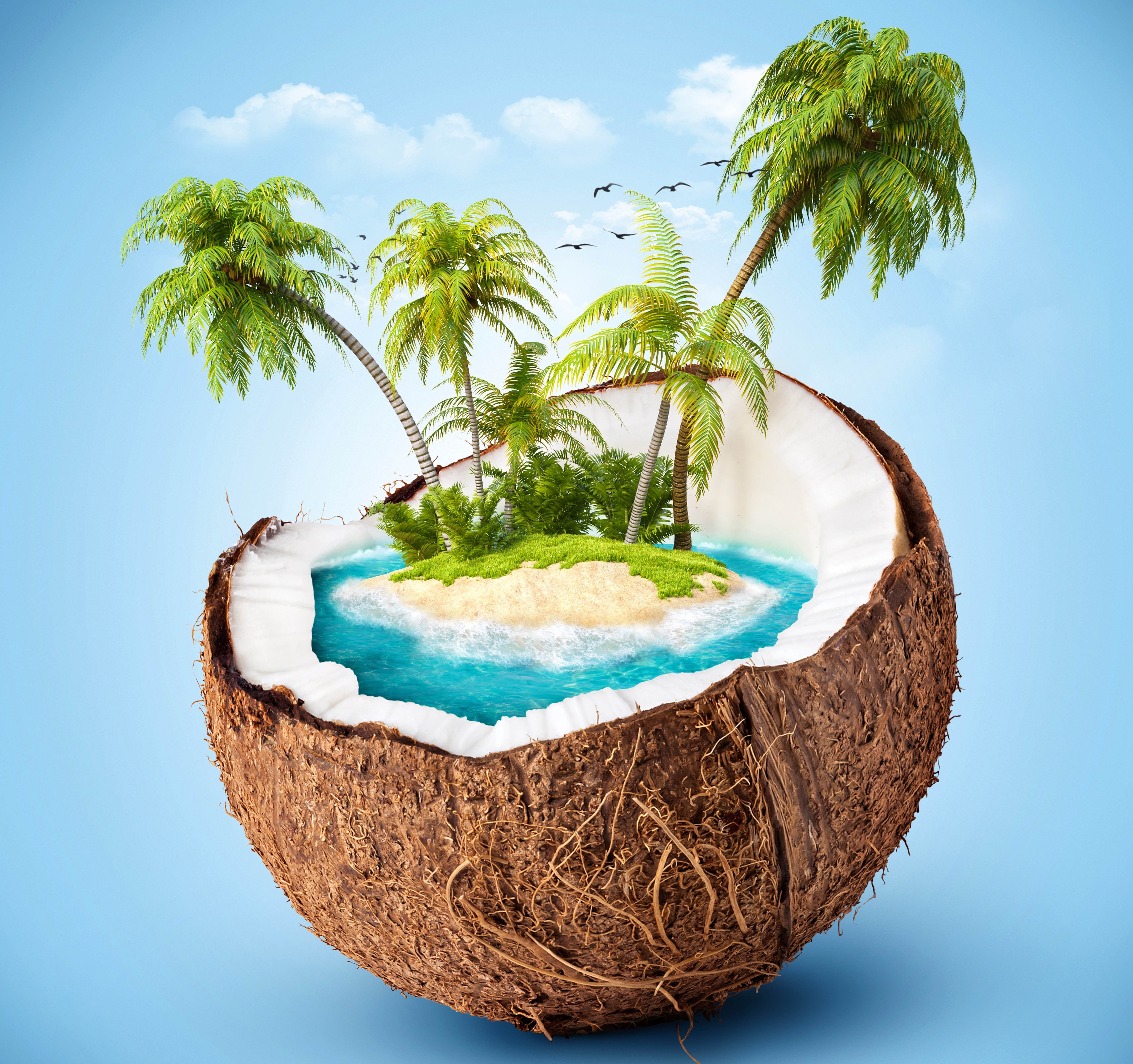 кокос на берегу моря