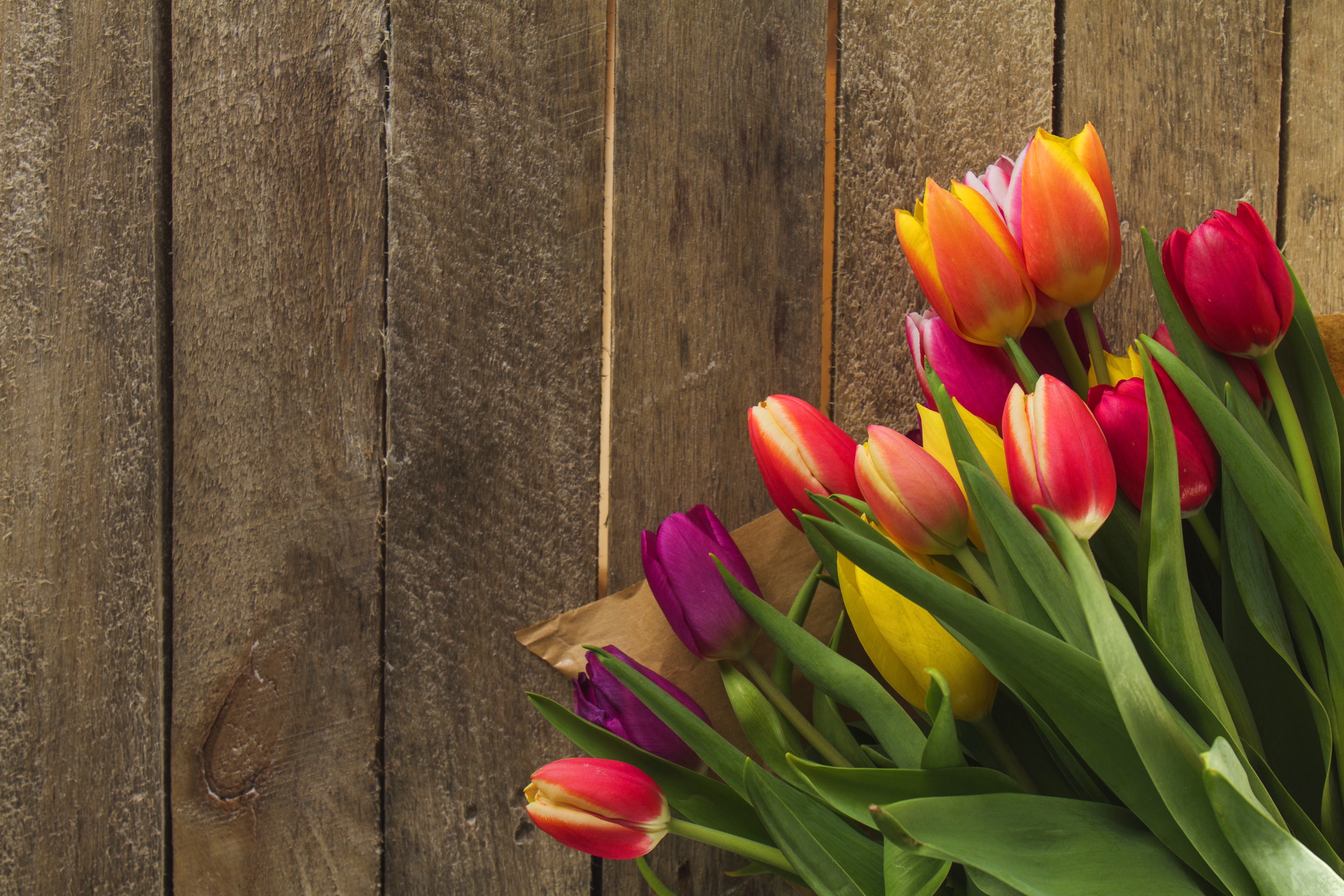 Обложка для вк тюльпаны. Весенние тюльпаны. Фотофон с тюльпанами. Тюльпаны фон. Тюльпаны на доске.