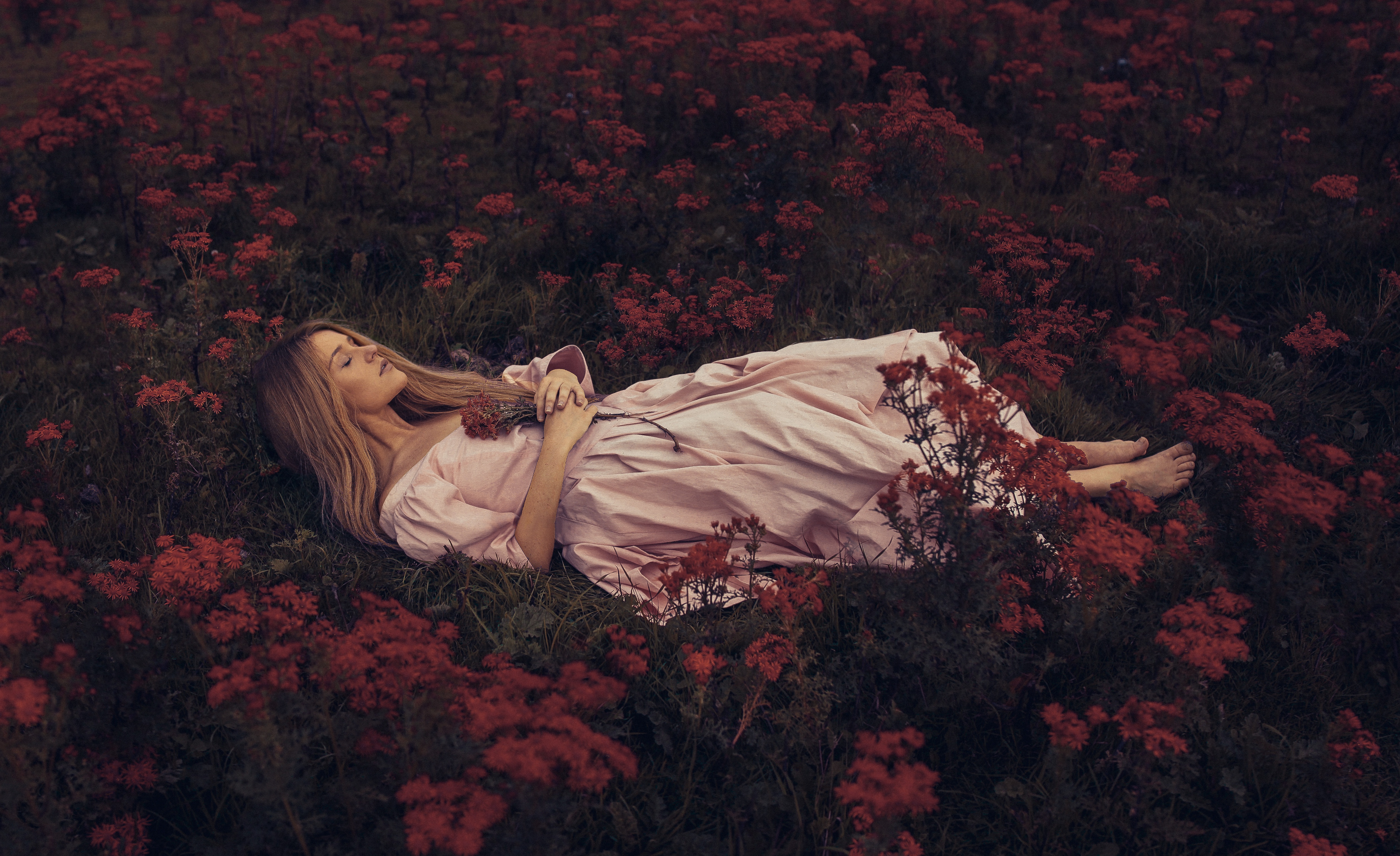 Поле цветов во сне. Рози Харди. Девушка в цветах. Девушка среди цветов. Мертвая девушка в цветах.