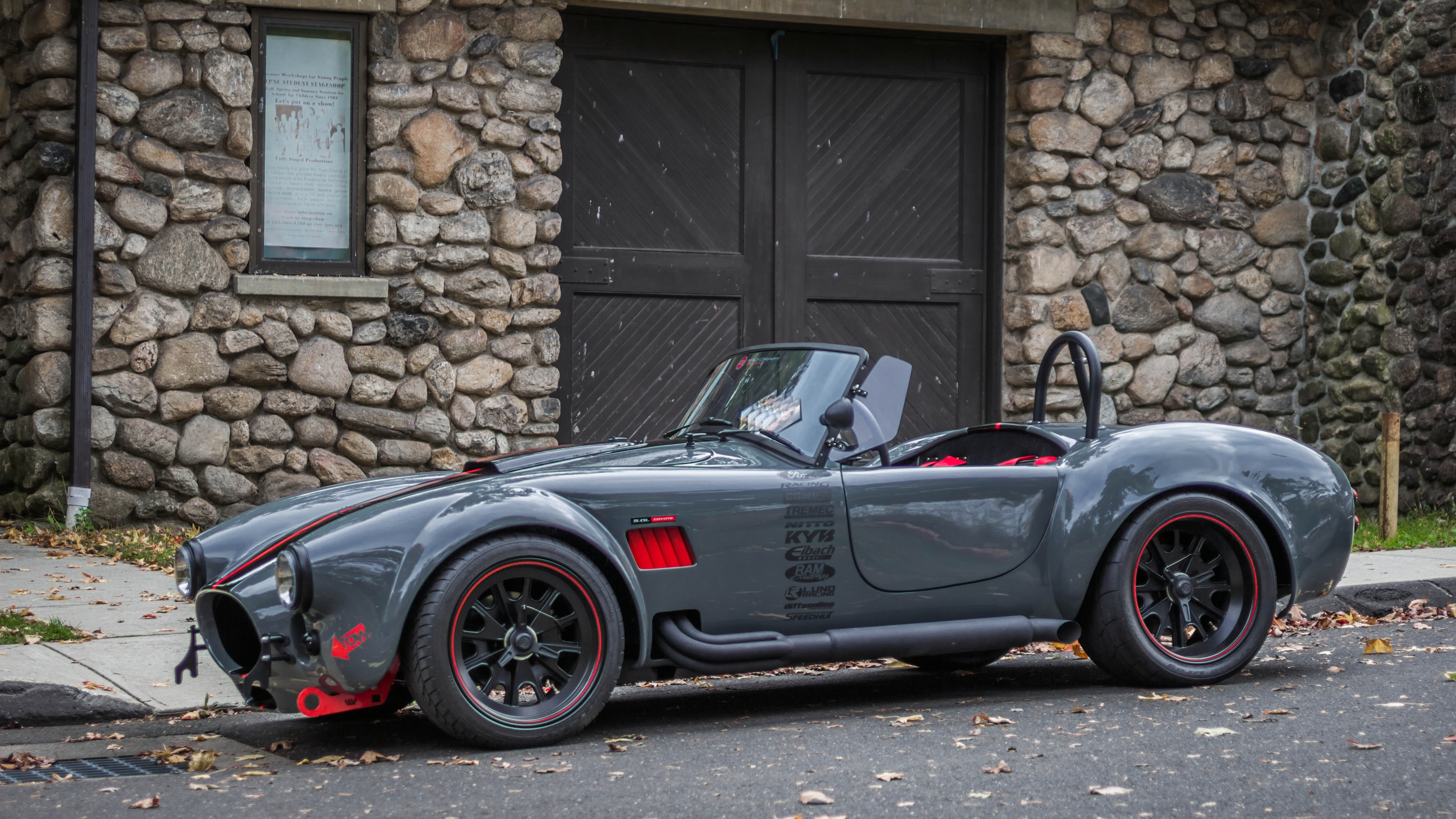 Shelby Cobra 5 0