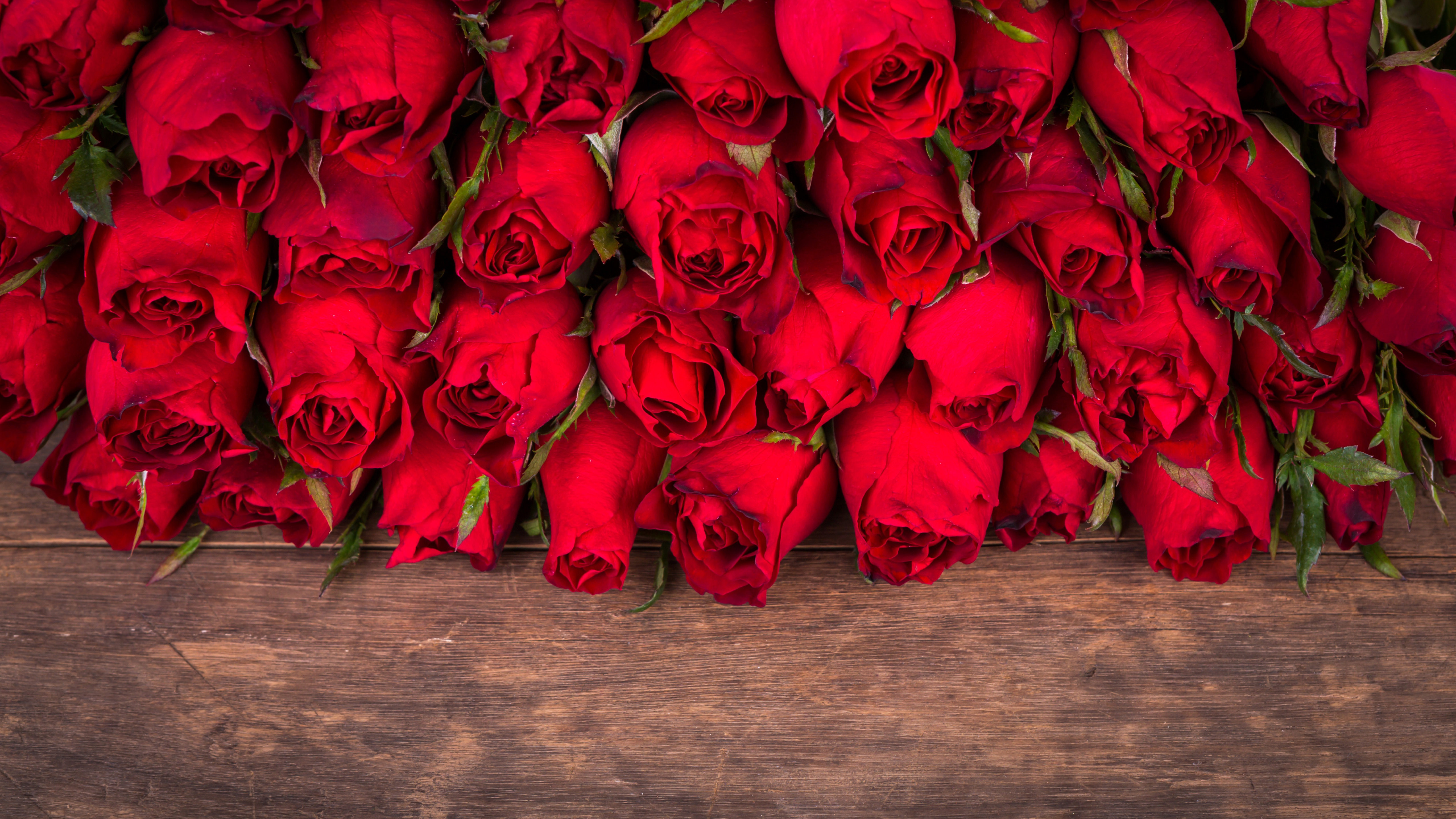Бесплатное видео с поздравлением с юбилеем. Поздравления с днём рождения розы. Открытки с днём рождения женщине. С днем рождения женщине открытка розы. Открытки с днём рождения женщине красные розы.