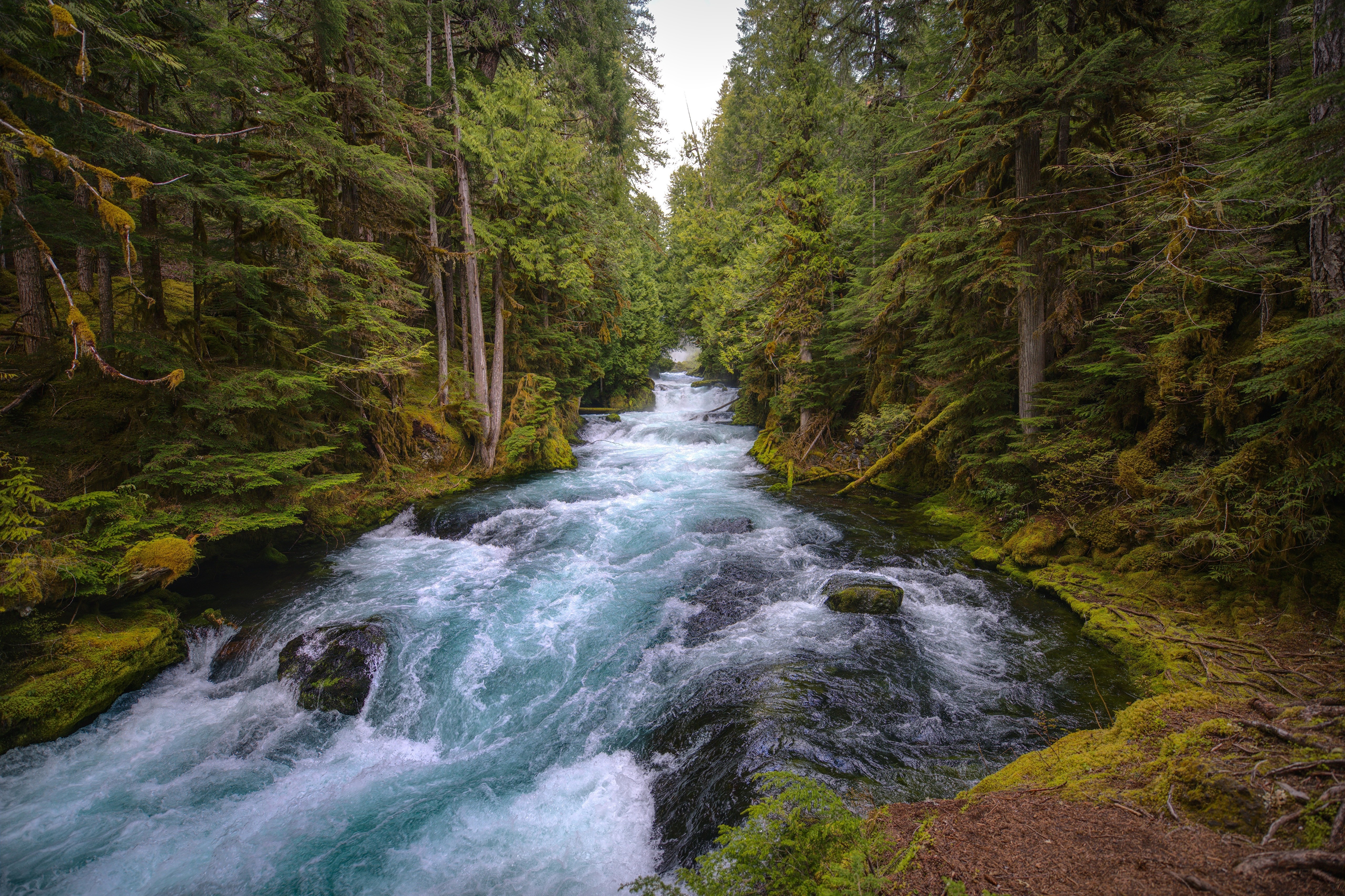 River download. Река Маккензи. Маккензи Канада. Река Маккензи Северной Америки. Река Маккензи картинки.