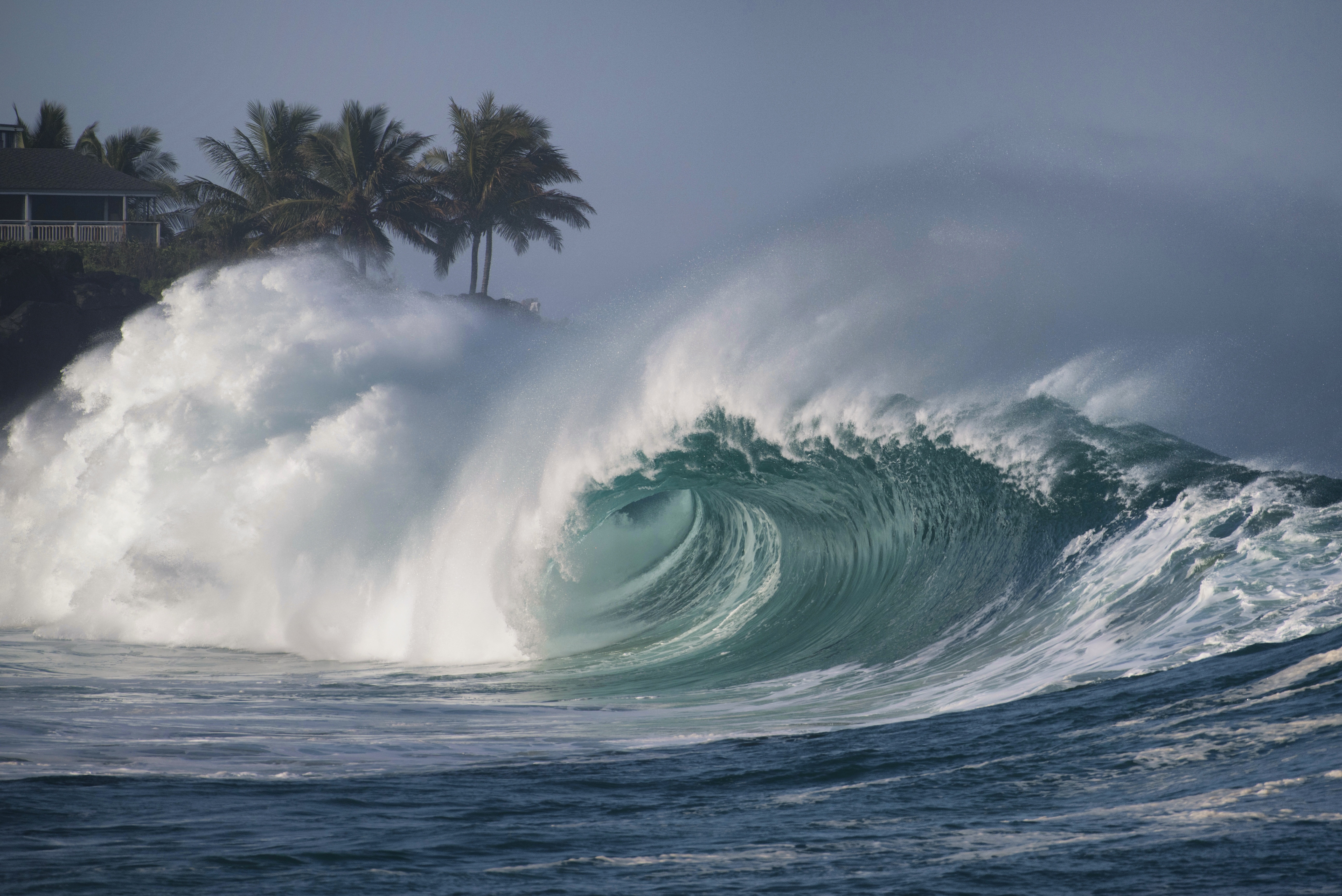 Волна на рида. Тихий океан волны ЦУНАМИ. Гонолулу ЦУНАМИ. Море океан волны шторм ЦУНАМИ. ЦУНАМИ Тихого океана 200 метров.