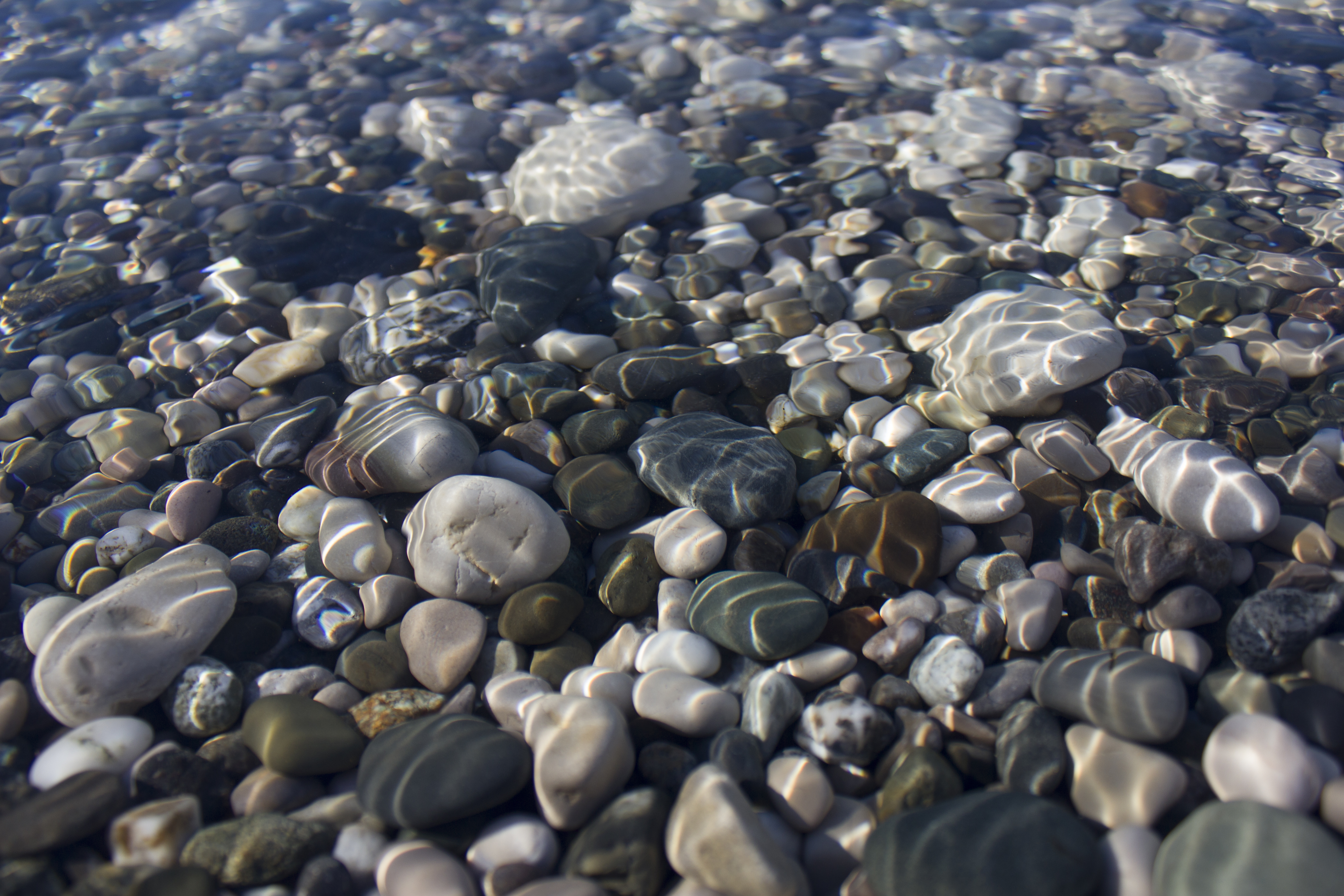 Камни вода рыбы. Морское дно галька. Прозрачная вода галька. Речное дно. Морские камни и вода.