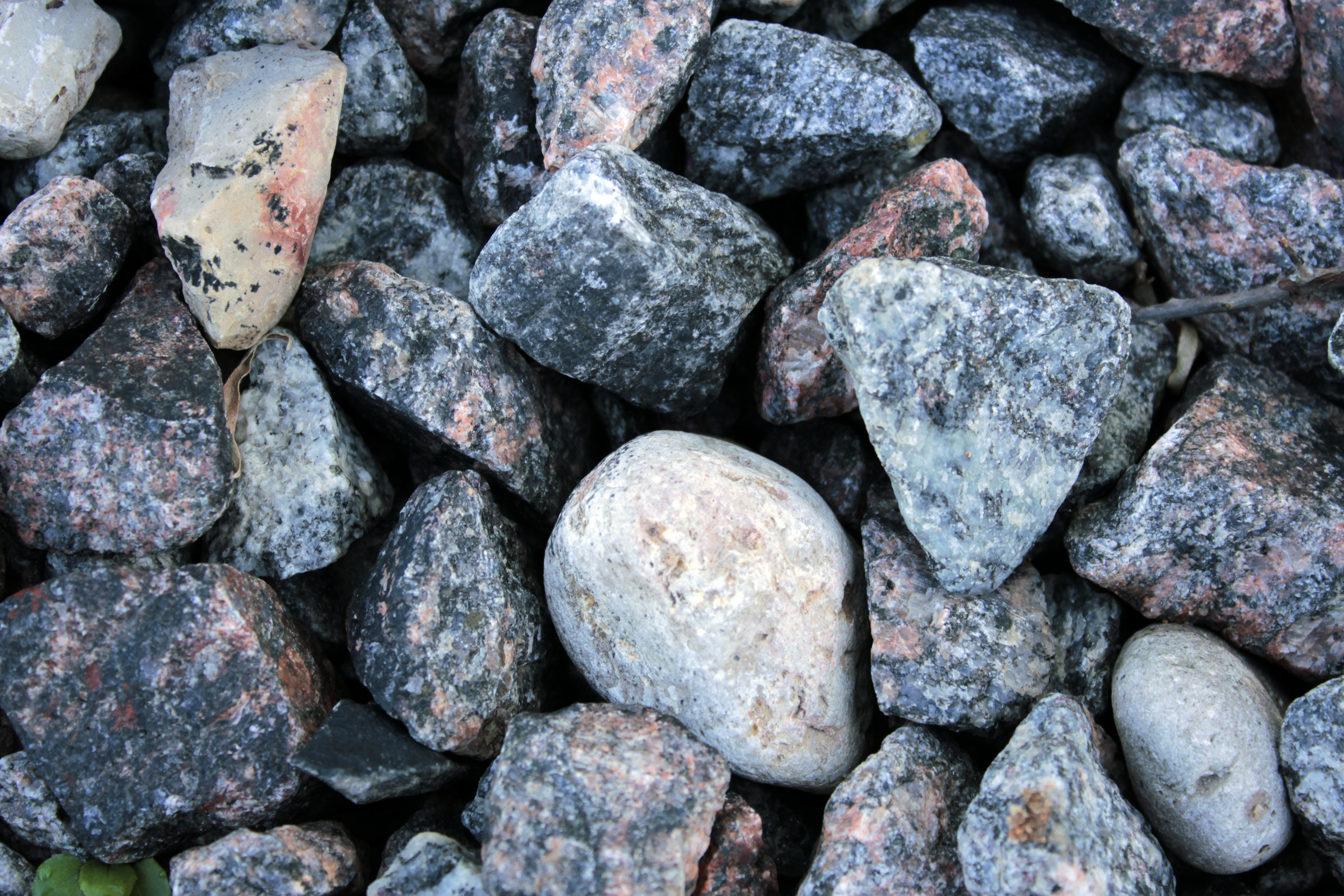 Почему камни серые. Гранит минерал. Микроклиновый гранит. Гранит камень в природе. Красивый серый камень.