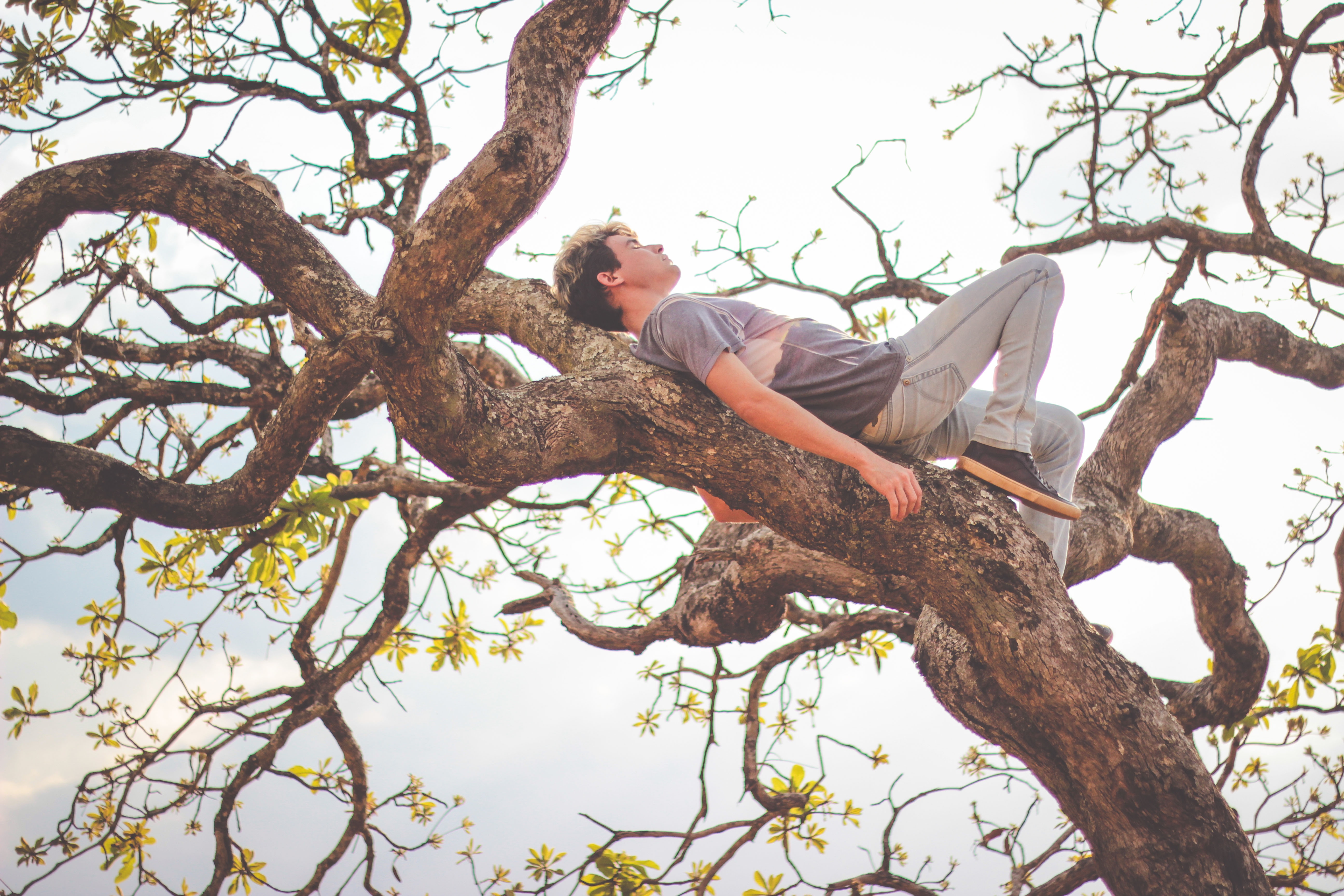 Человек стоит под деревом. Человек сидит на дереве. Парень на дереве.