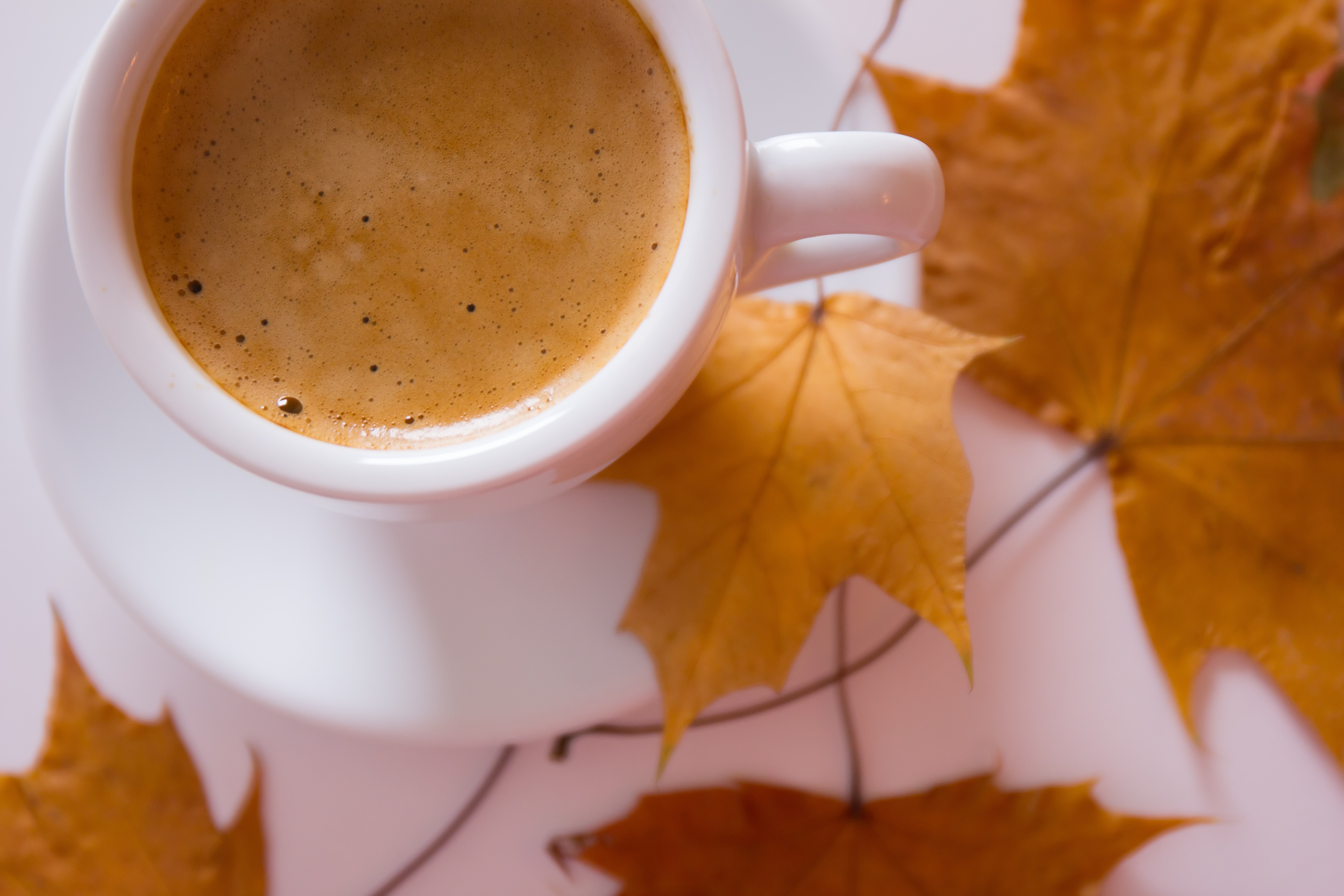 Осеннее кофе. Осенний кофе. Утро кофе осень. Чашка кофе осень. Утренний осенний кофе.