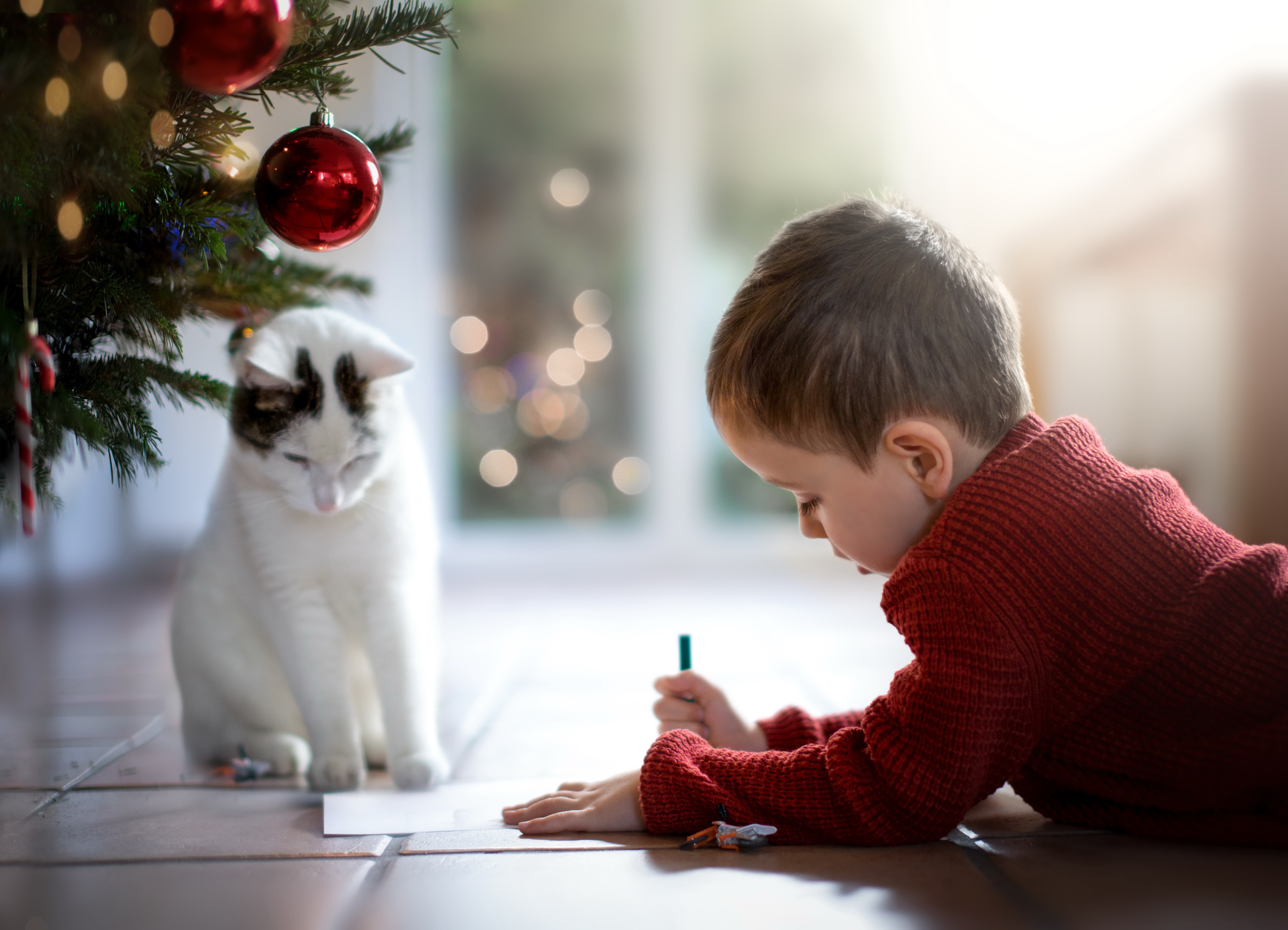 Дети загадывают желание. Пишем письмо деду Морозу. Мальчик пишет письмо деду Морозу. Ребенок пишет письмо деду Морозу. Мальчик ждет подарка.