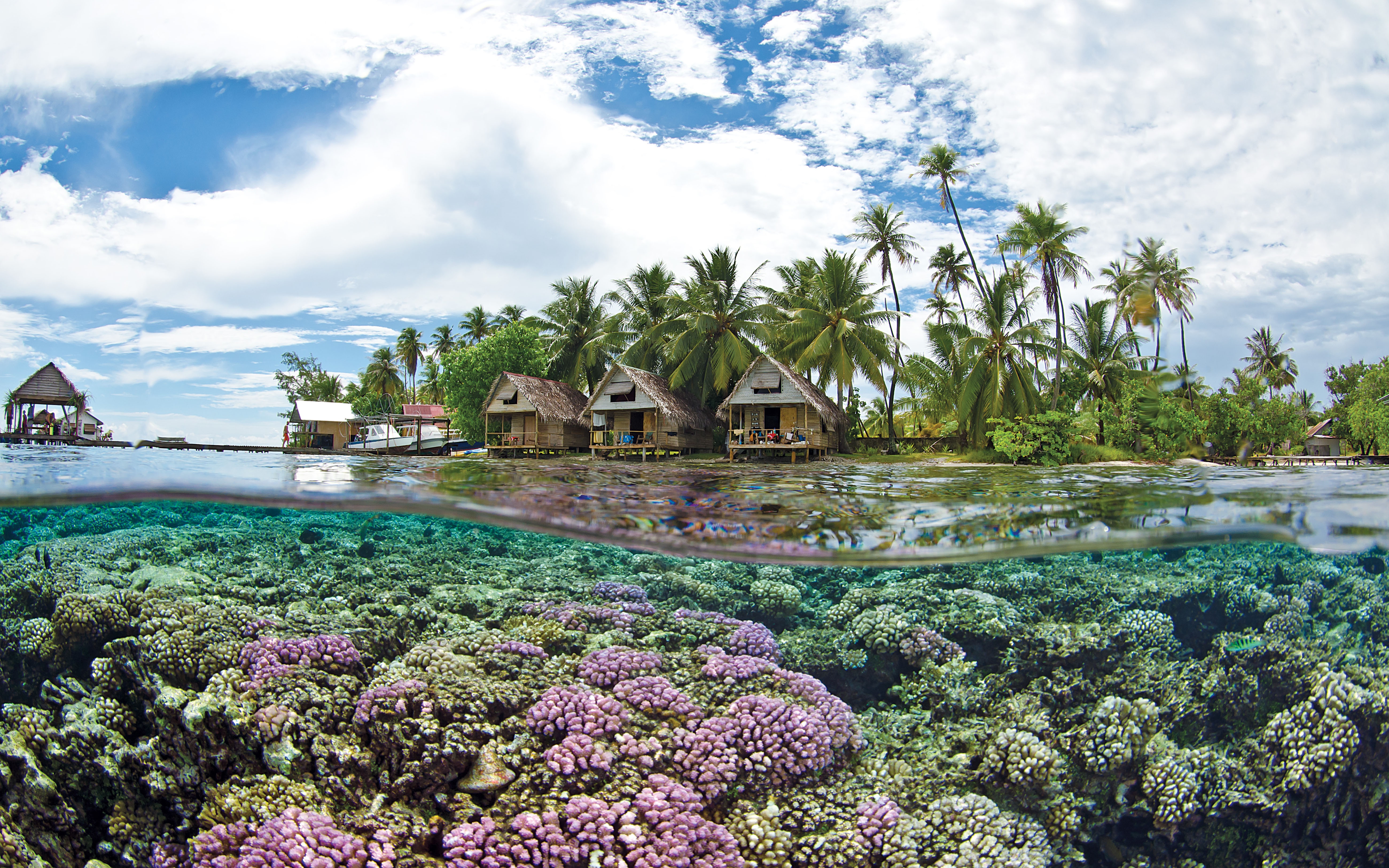 Экзотическая природа. Остров Таити. Французская Полинезия (Polynesie francaise) и остров Таити (Tahiti). Бора Бора на Таити. Риф Раройя Полинезия.