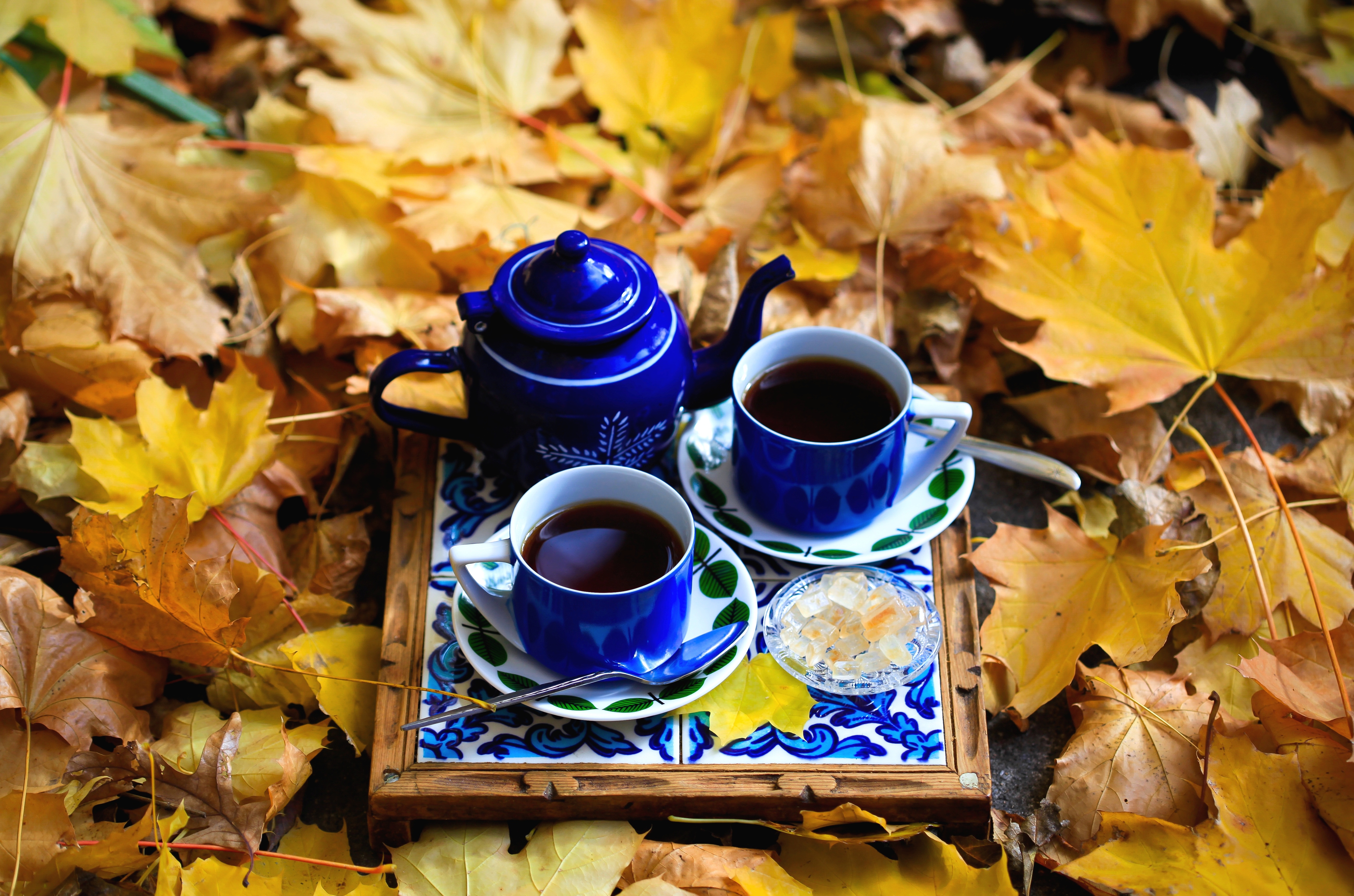 Осеннее утро картинки красивые. Осень кофе. Осенний чай. Осеннее утро. Осеннее чаепитие.