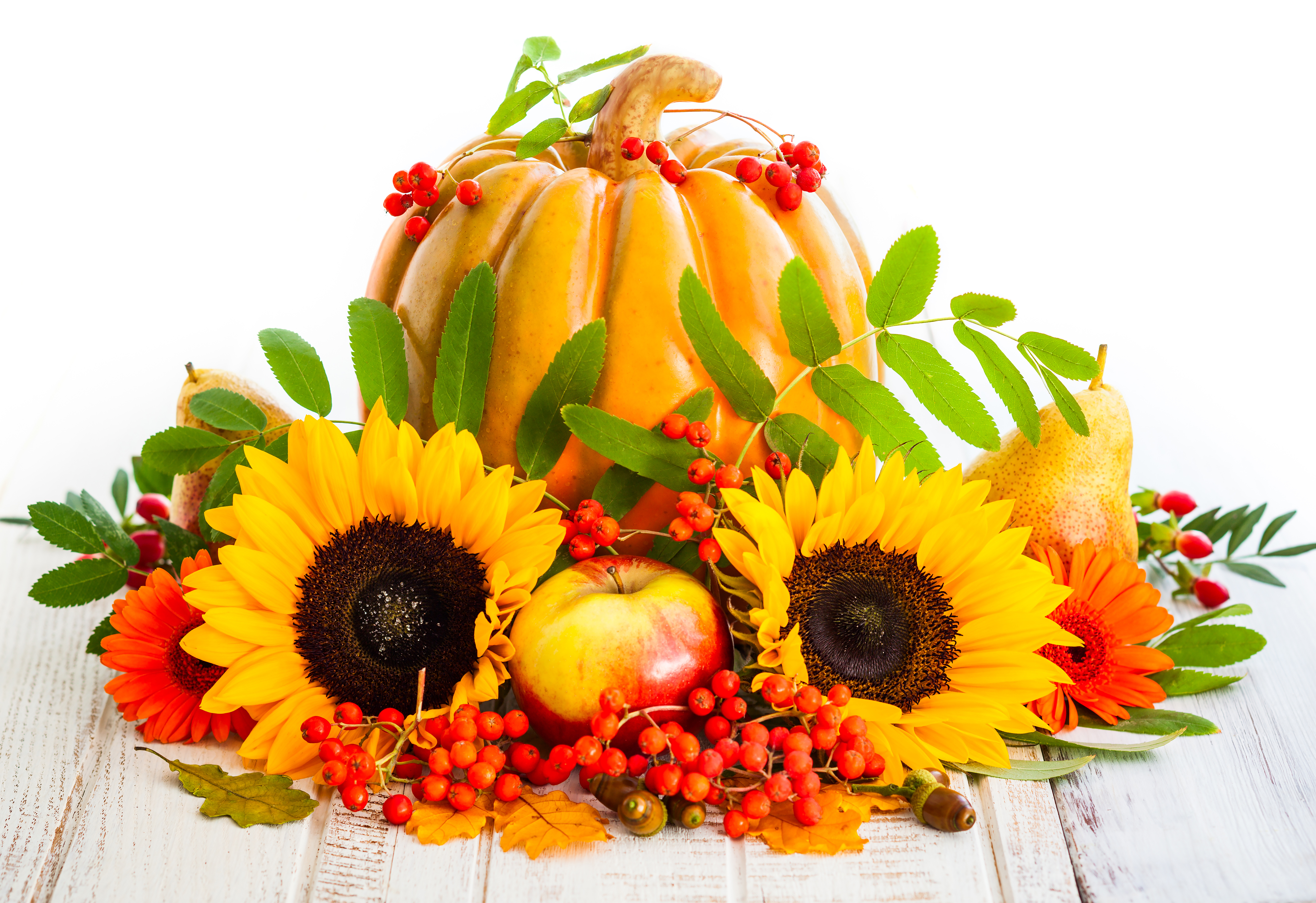 Фруктовый лист. Подсолнухи и фрукты. Осенние овощи и фрукты. Натюрморты с подсолнухами и фруктами. Осень тыква подсолнух.