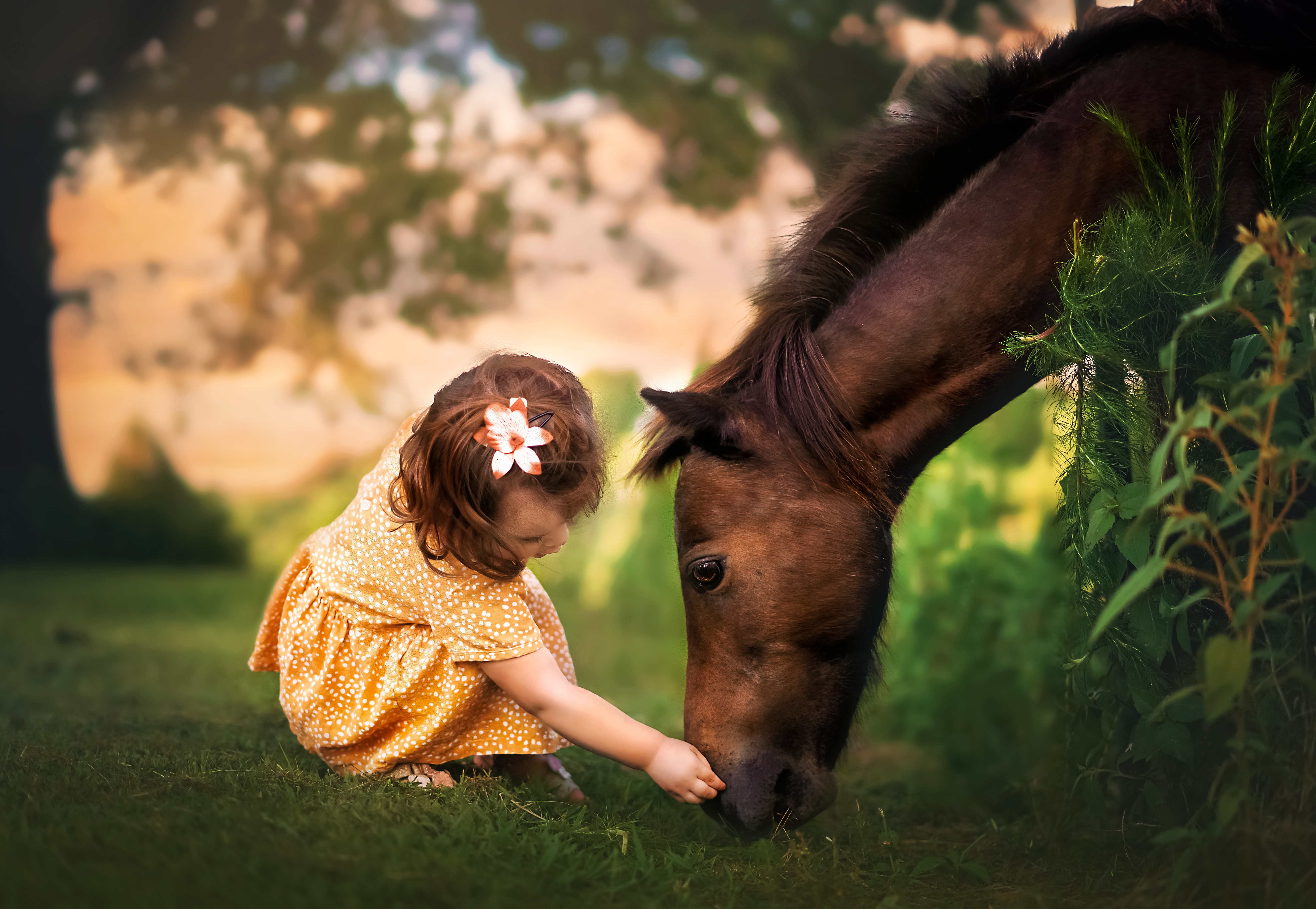 Лошадка железновой. Лошадки для девочек. Девочка на лошади. Фотосессия с лошадьми. Детская фотосессия с лошадьми.