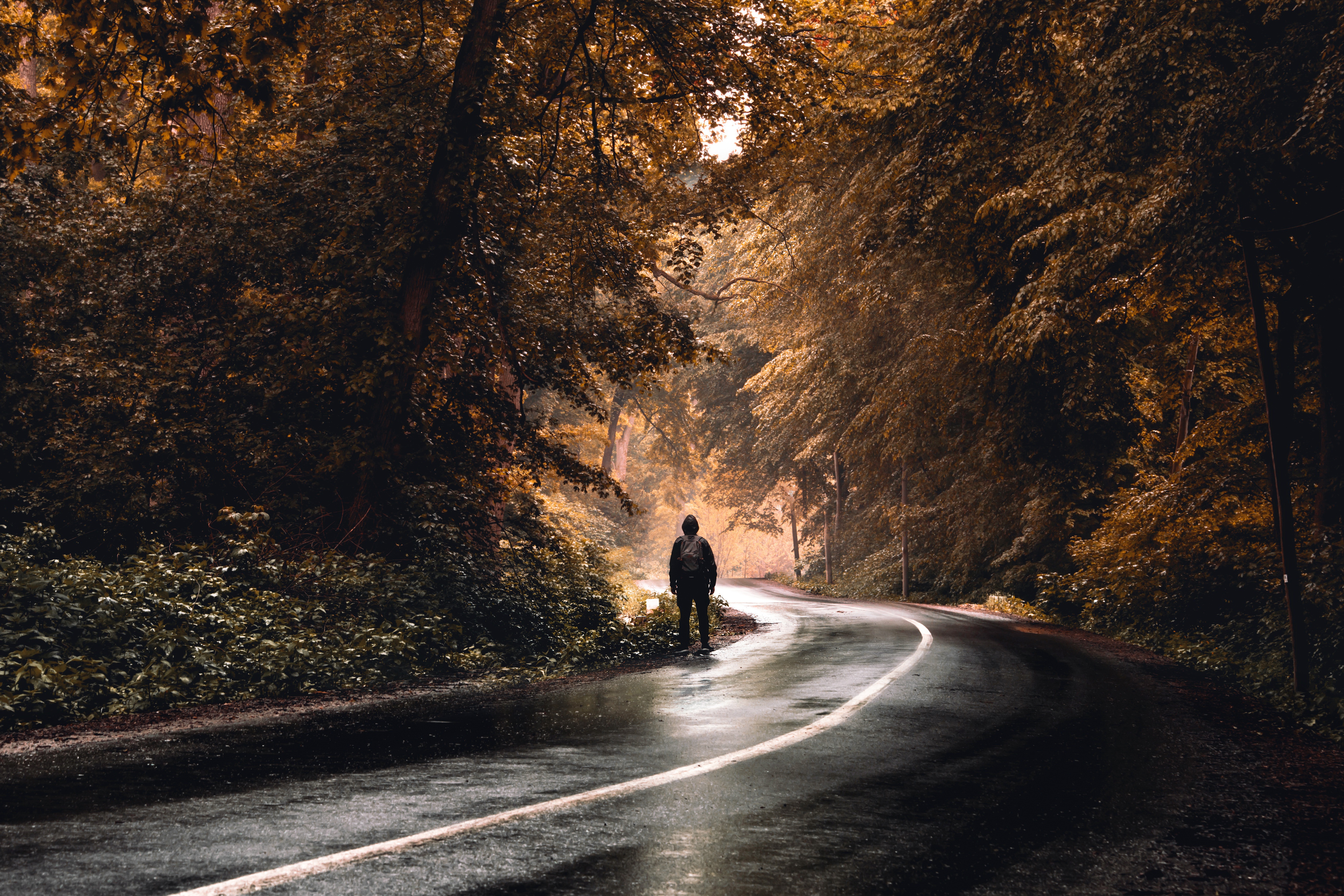 Love road. Дорога в осень. Человек на дороге. Дорога Эстетика. Осень дорога человек.