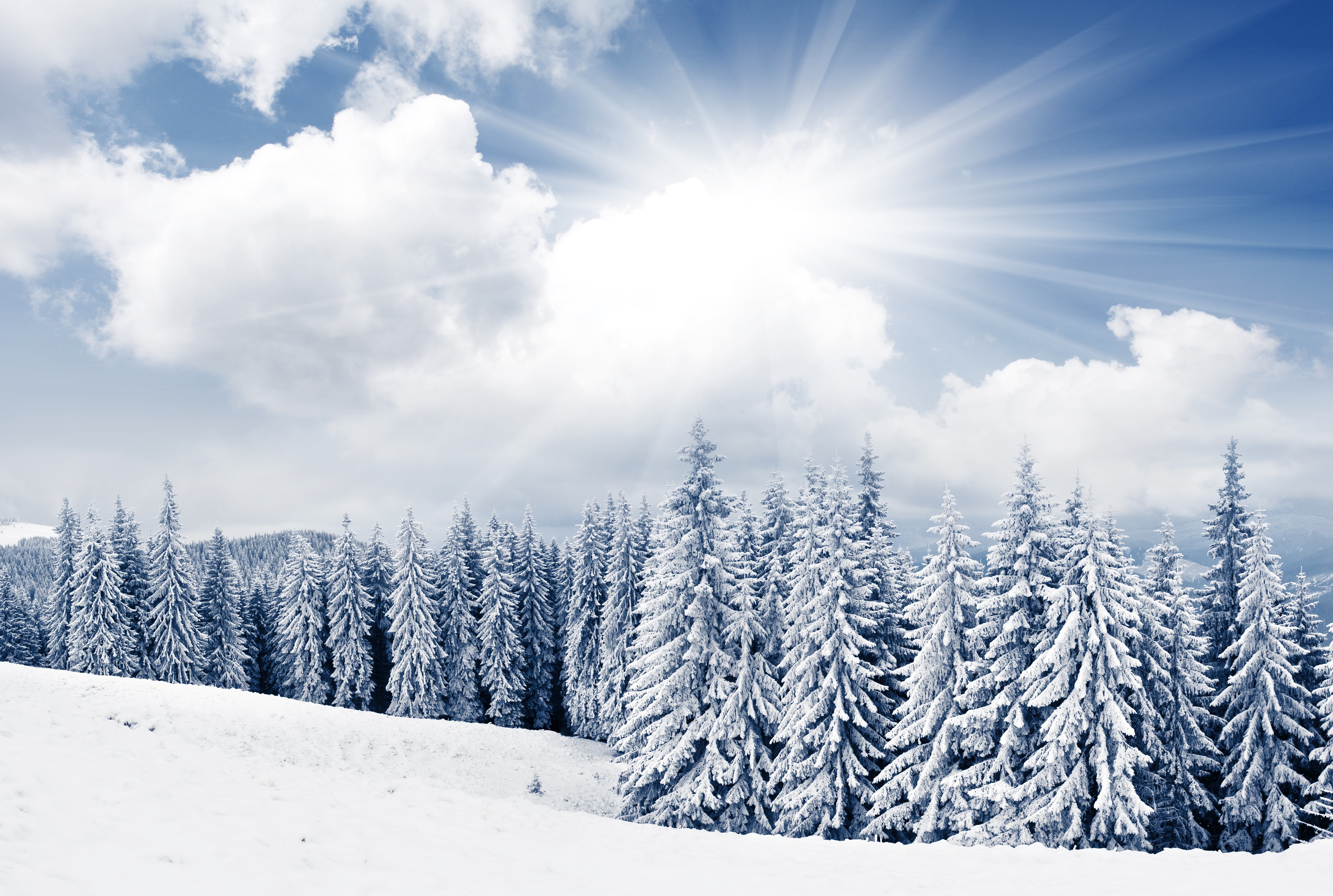 Зимнее снежное день. Зимнее небо. Зимний лес. Зима солнце. Снег и солнце.