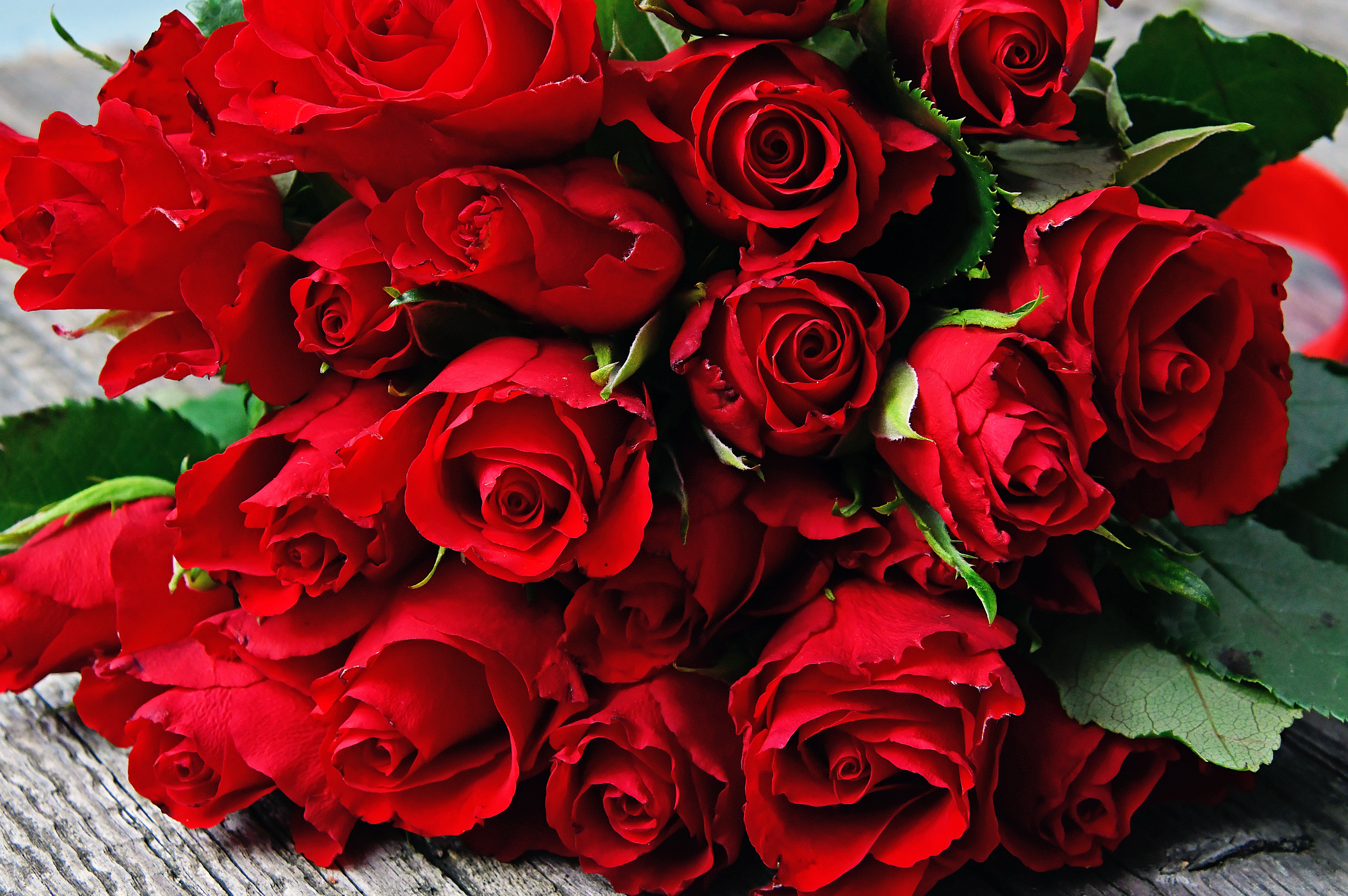 Открытка с днем рождения женщине букет роз. Rose Red Bouquet красные розы. Шикарные цветы. Buket krasnix roz.