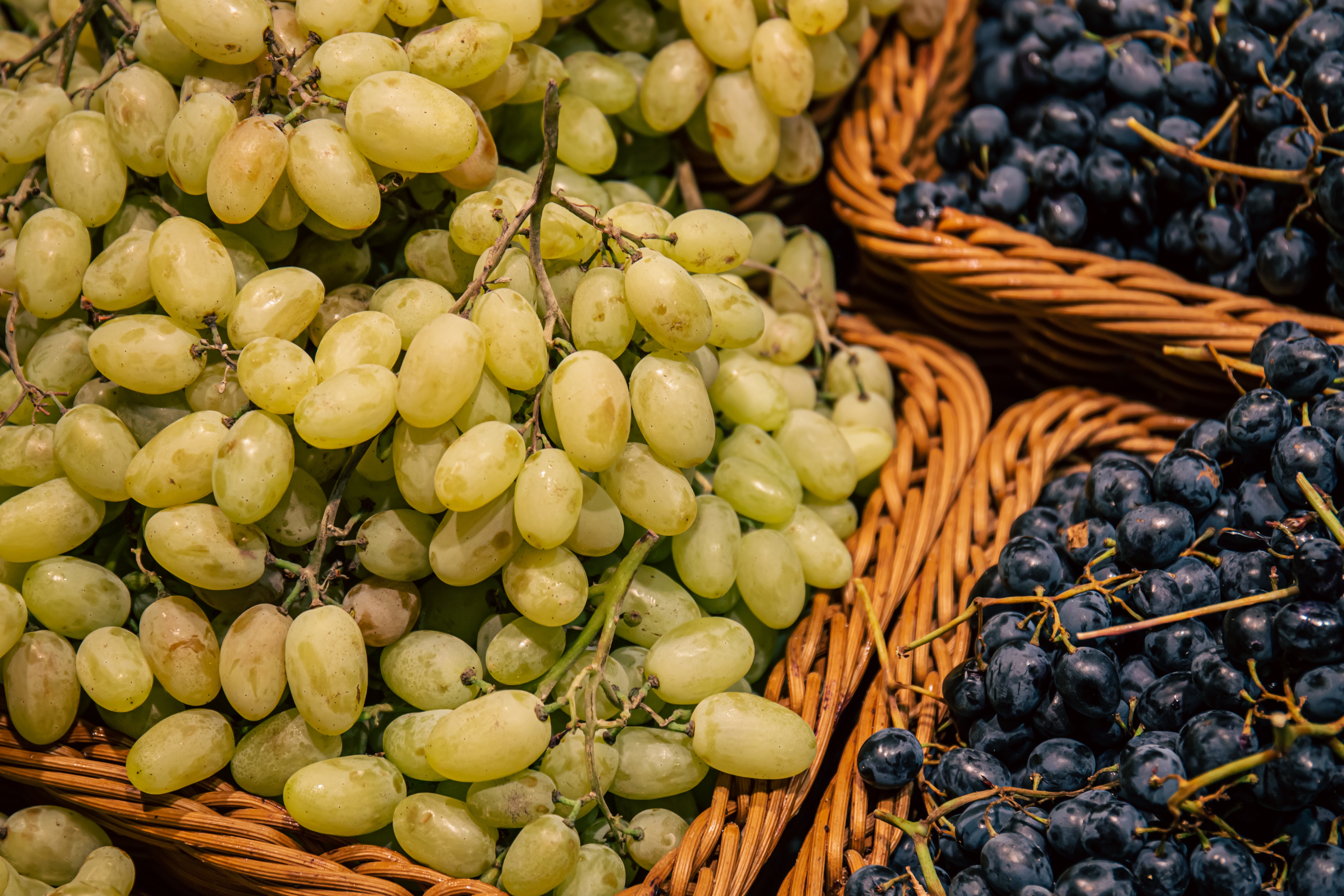 Виноград в больших количествах. Много винограда. Виноград, гроздь, grapes, bunch. Виноградники на рабочий стол.