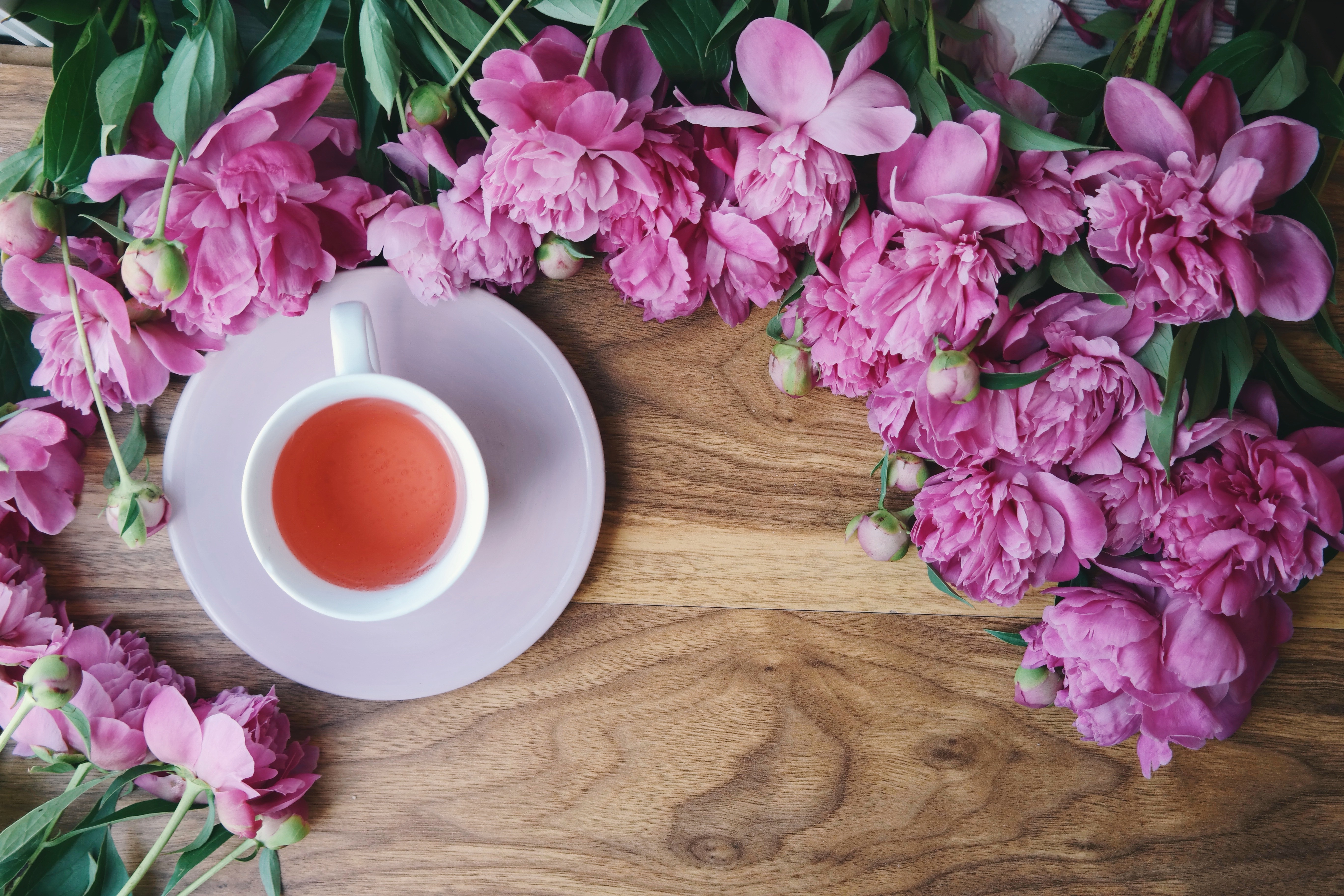 Чай с цветами. Пион Pink Tea Cup. Доброе утро пионы. Доброе утро пионы и кофе. Чай цветок.