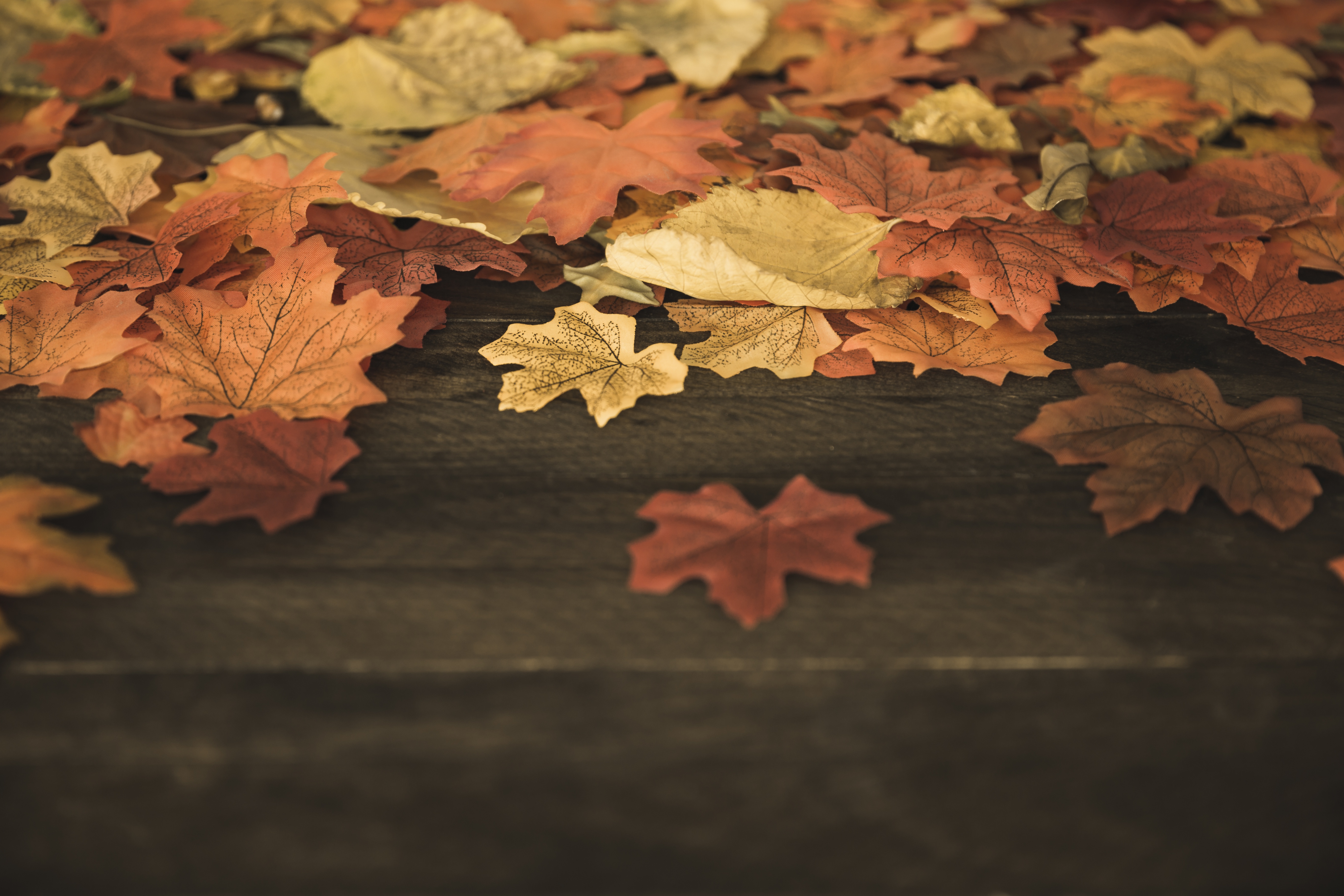 Table leaves. Осенние листья. Осенние листья на столе. Лист на столе. Осень стол листья.