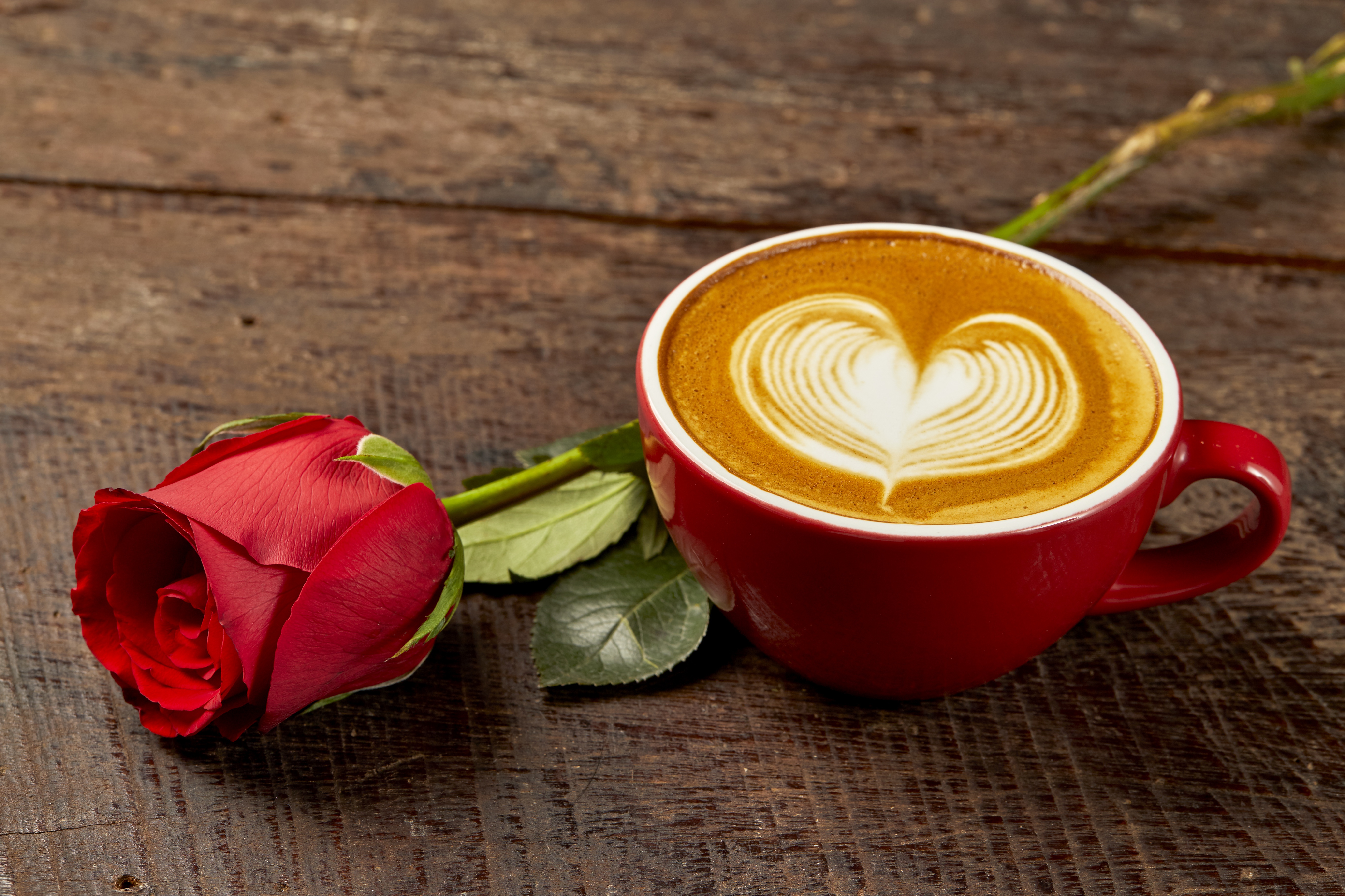 Пожелание доброго утра любимой девушке романтичные. Чашка кофе. Кофе и цветы. Кофе с цветами.