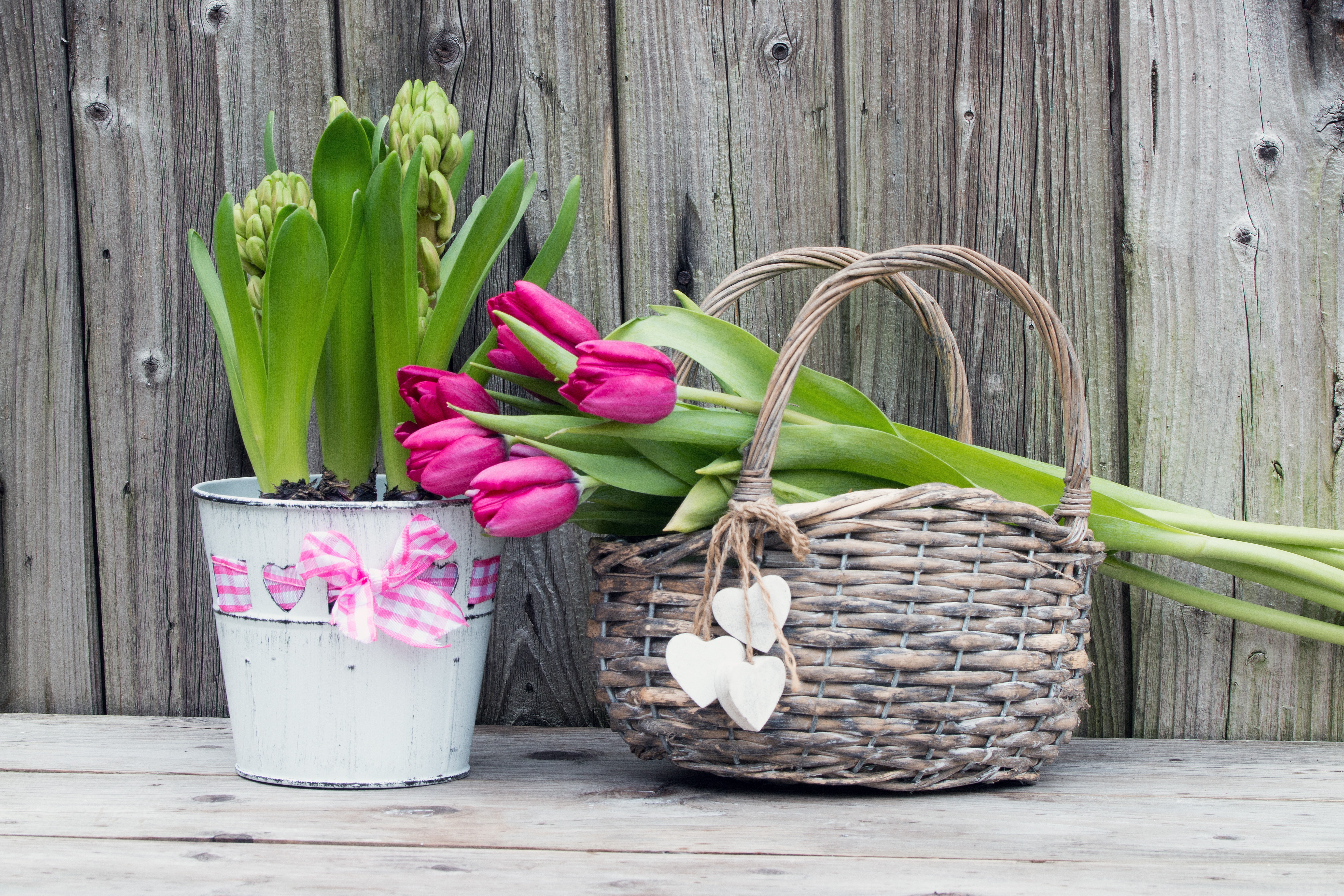 Как сохранить дольше свежие тюльпаны в вазе