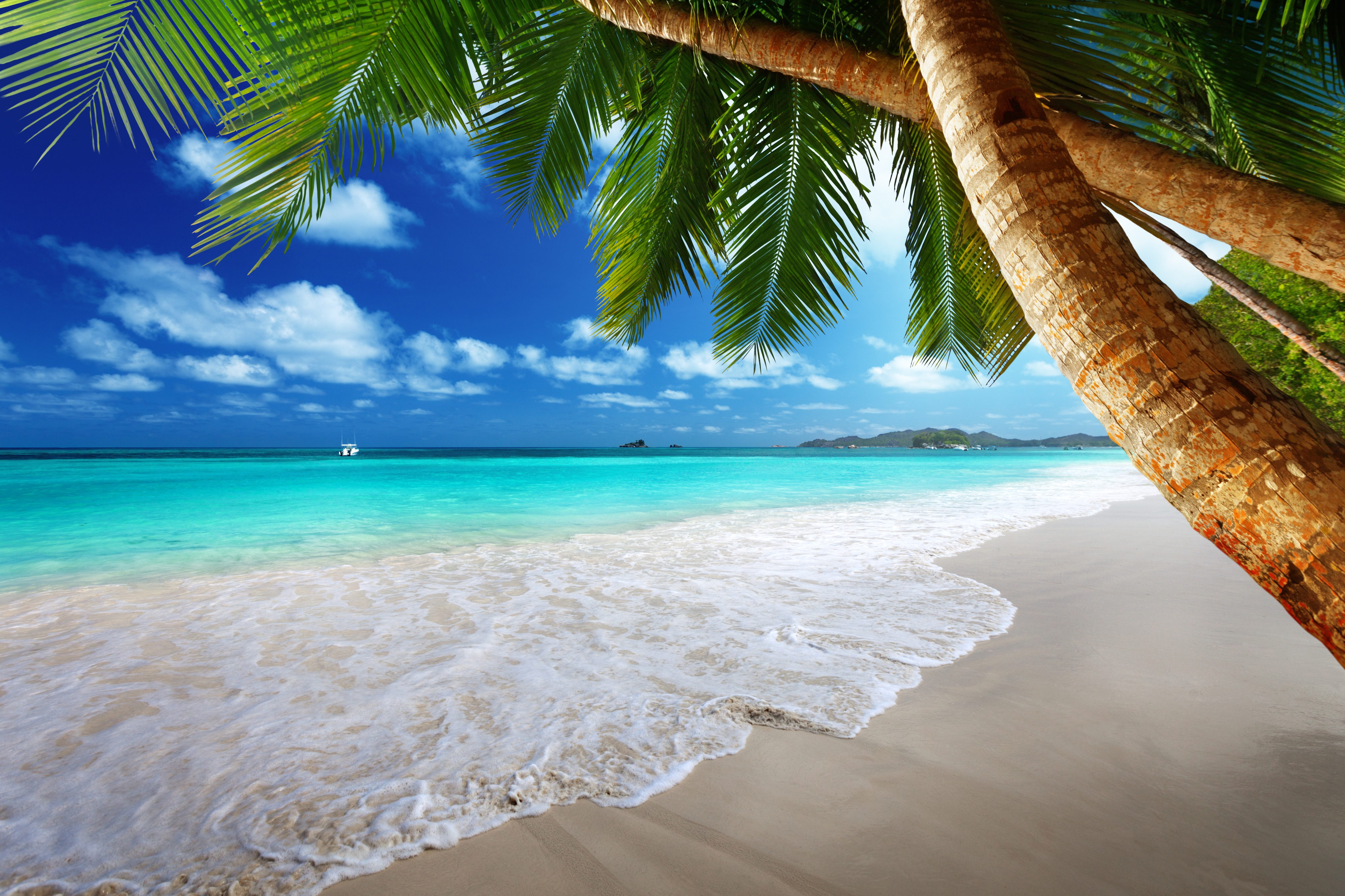 Обои на комп. Парадиз остров Карибского моря. Карибское море пляж Баунти. Море пляж. Райский пляж.