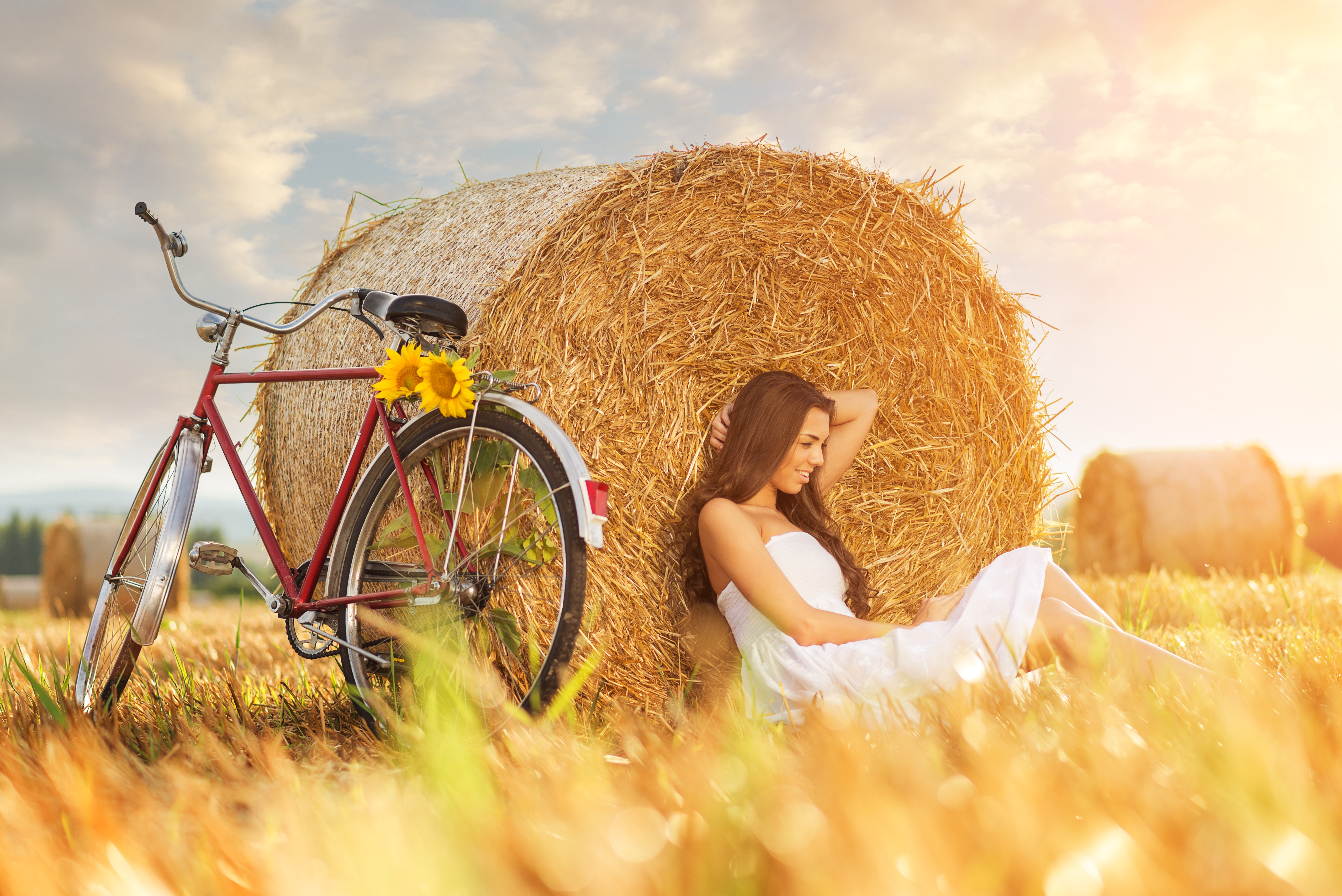 Скачать обои поле, девушка, велосипед, подсолнух, sunflower, стог сена,  girl bike, field haystack, раздел девушки в разрешении 5622x3753