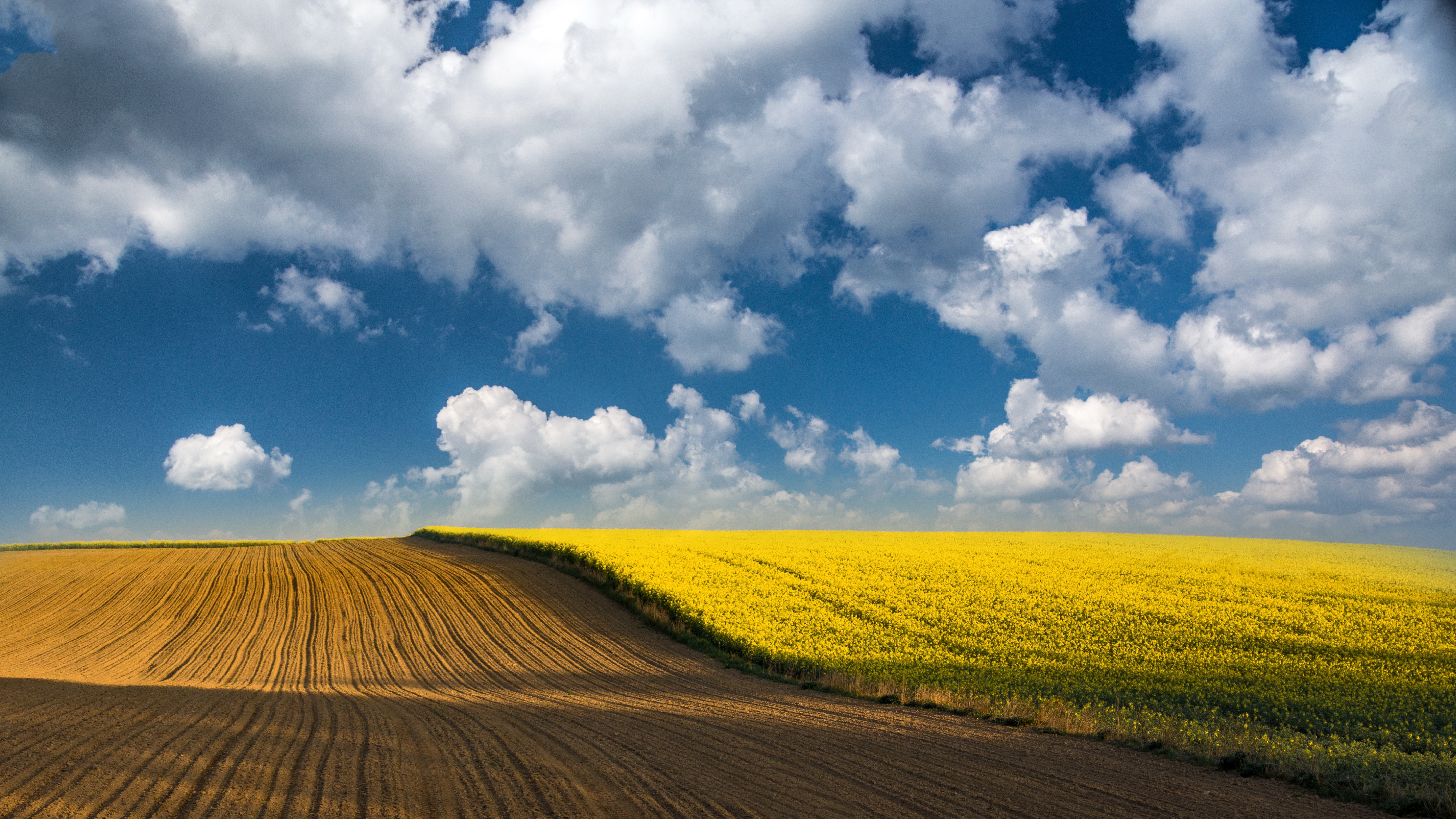 Небо Над Полем Фото