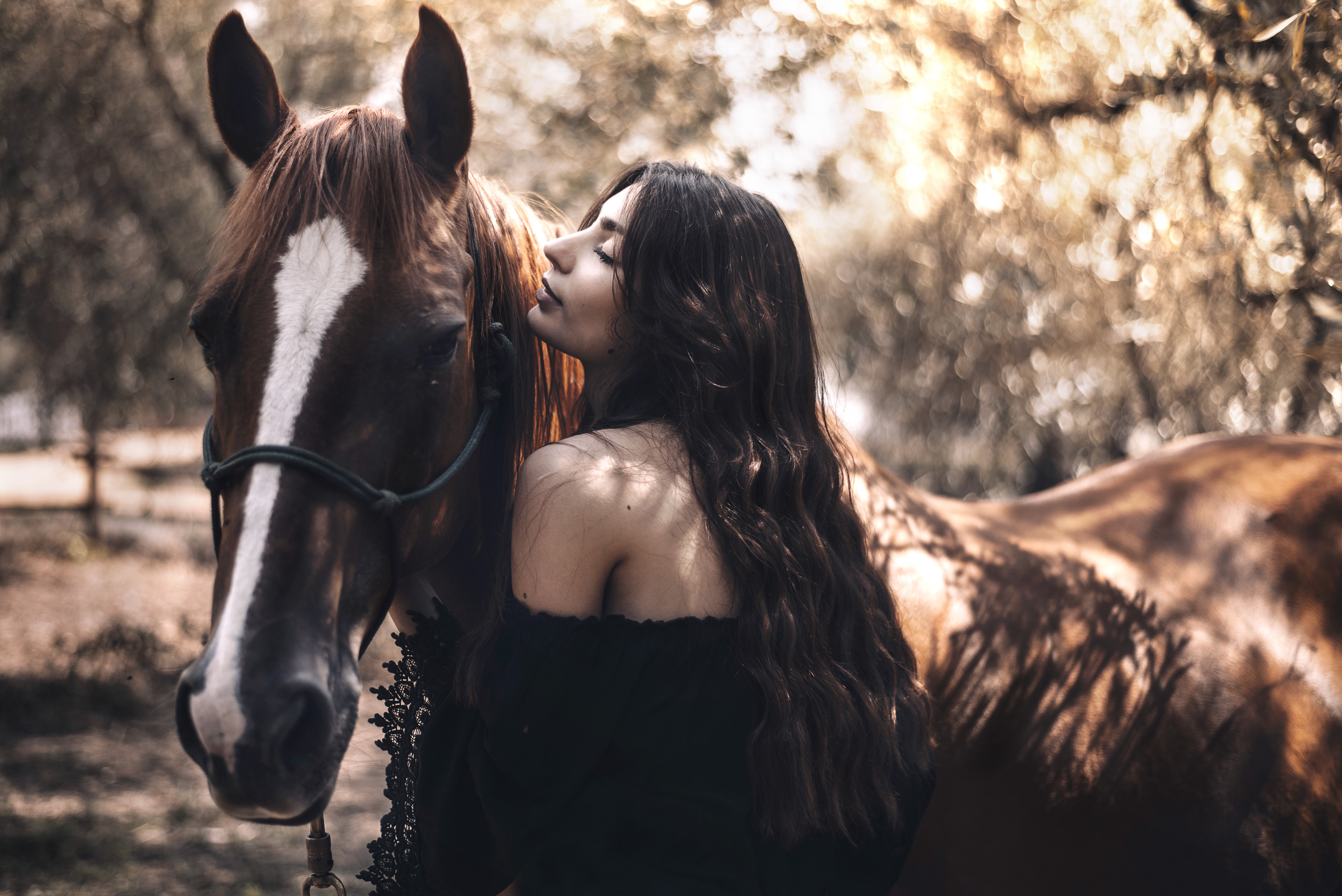 Девочка с лошадкой. Фотосессия с лошадьми. Красивая фотосессия с лошадью. Девушка с лошадью. Красивая девушка на лошади.
