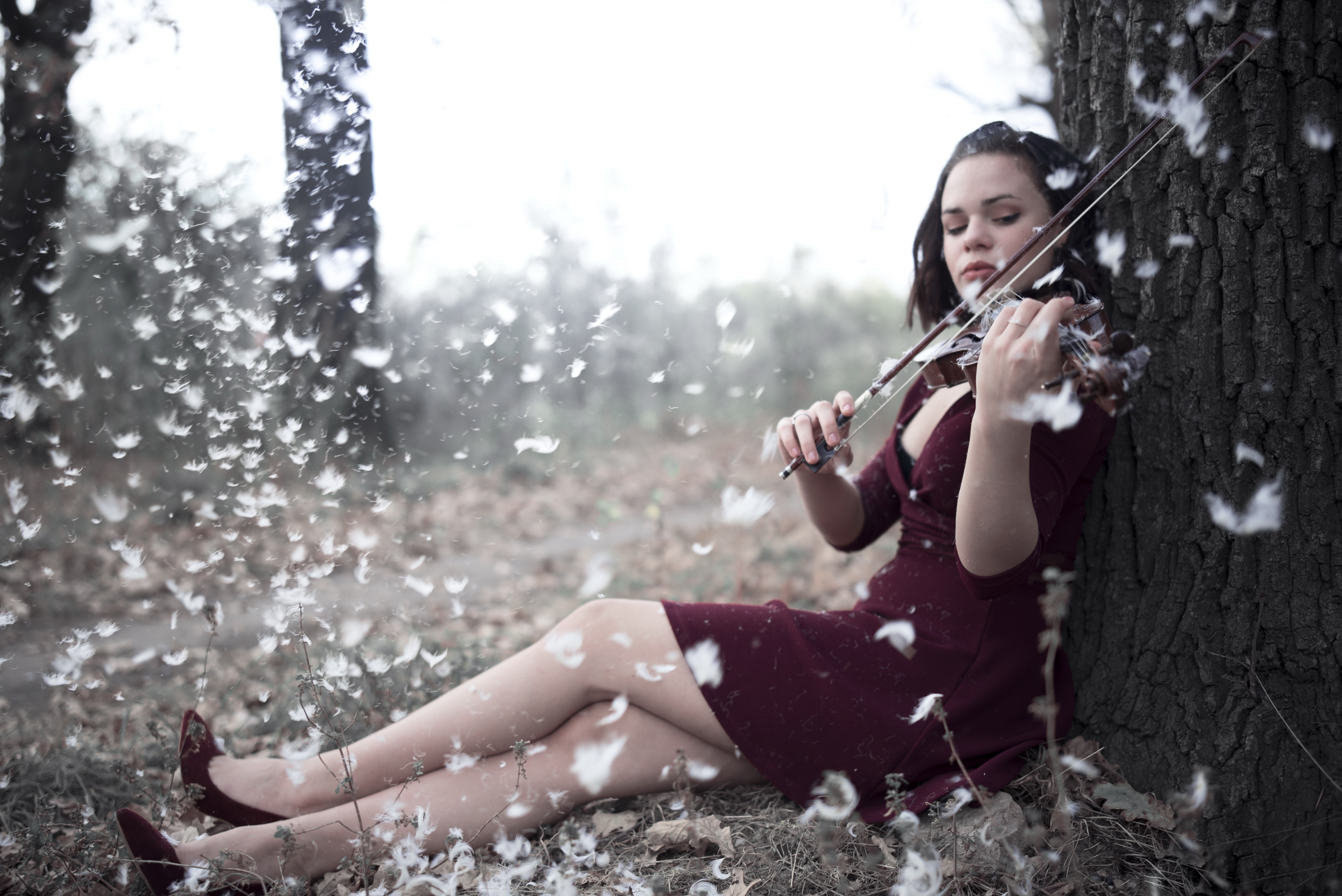 Песня девчонка выйдет. Девушки со скрипкой. Фотосессия со скрипкой. Девушка со скрипкой на природе.