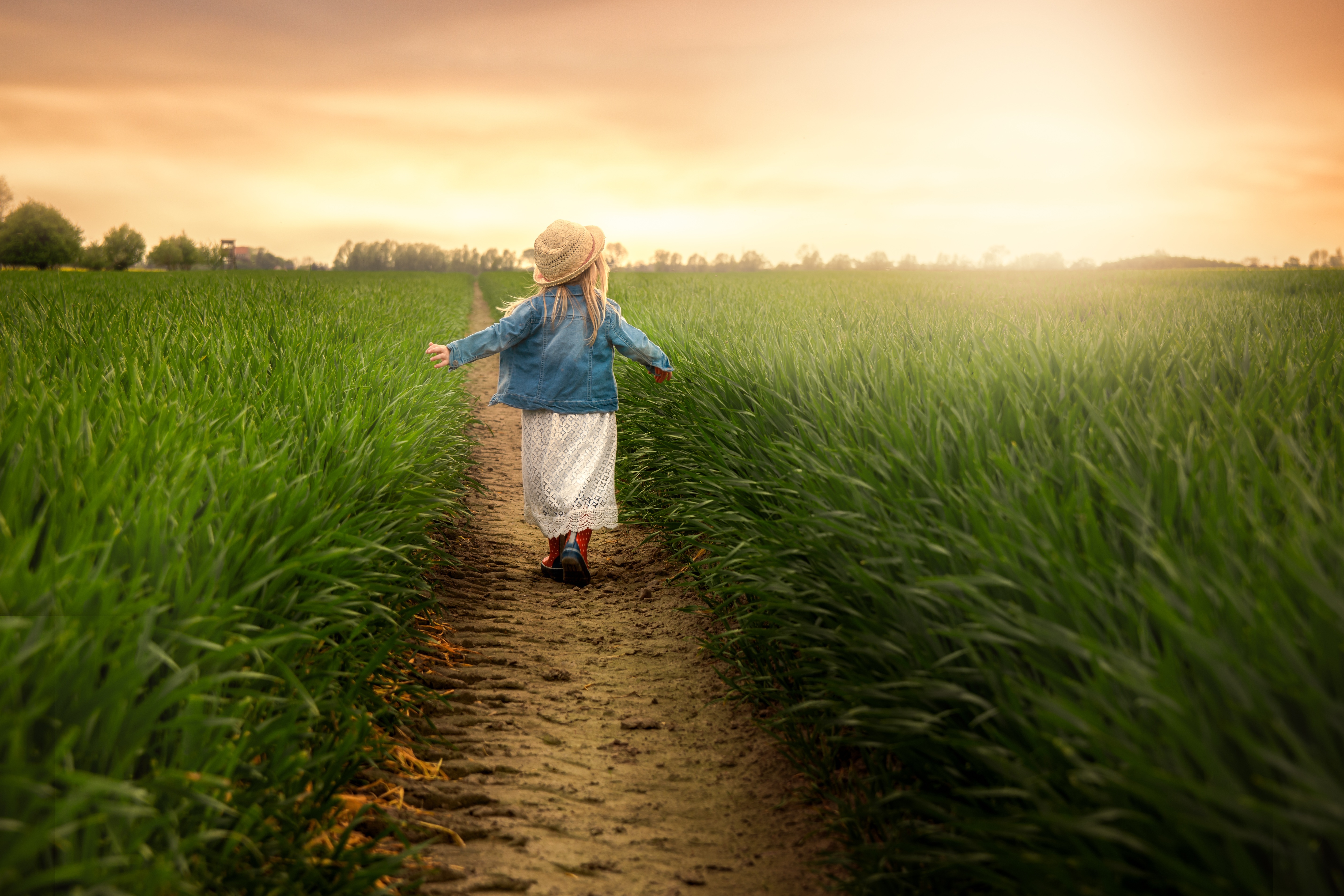 Зайчики дорожке траве и солнечные по бегут. Дети в поле. Девочка в поле. Дети бегут в поле. Дети идут по тропинке.