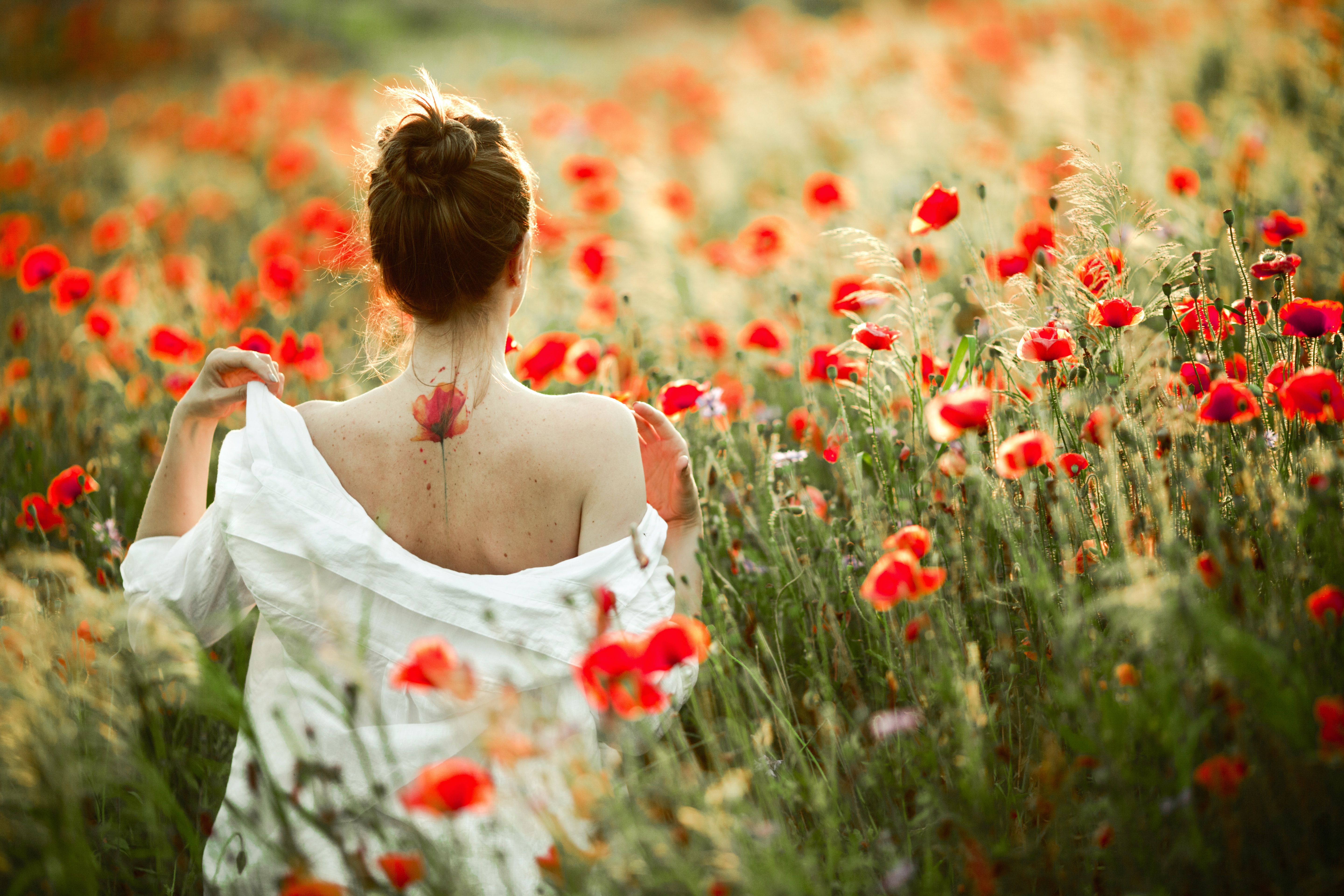 20 июня женщина. Девушка в поле цветов. Девушка в поле с цветами. Девушка в маковом поле. Женщина в поле цветов со спины.