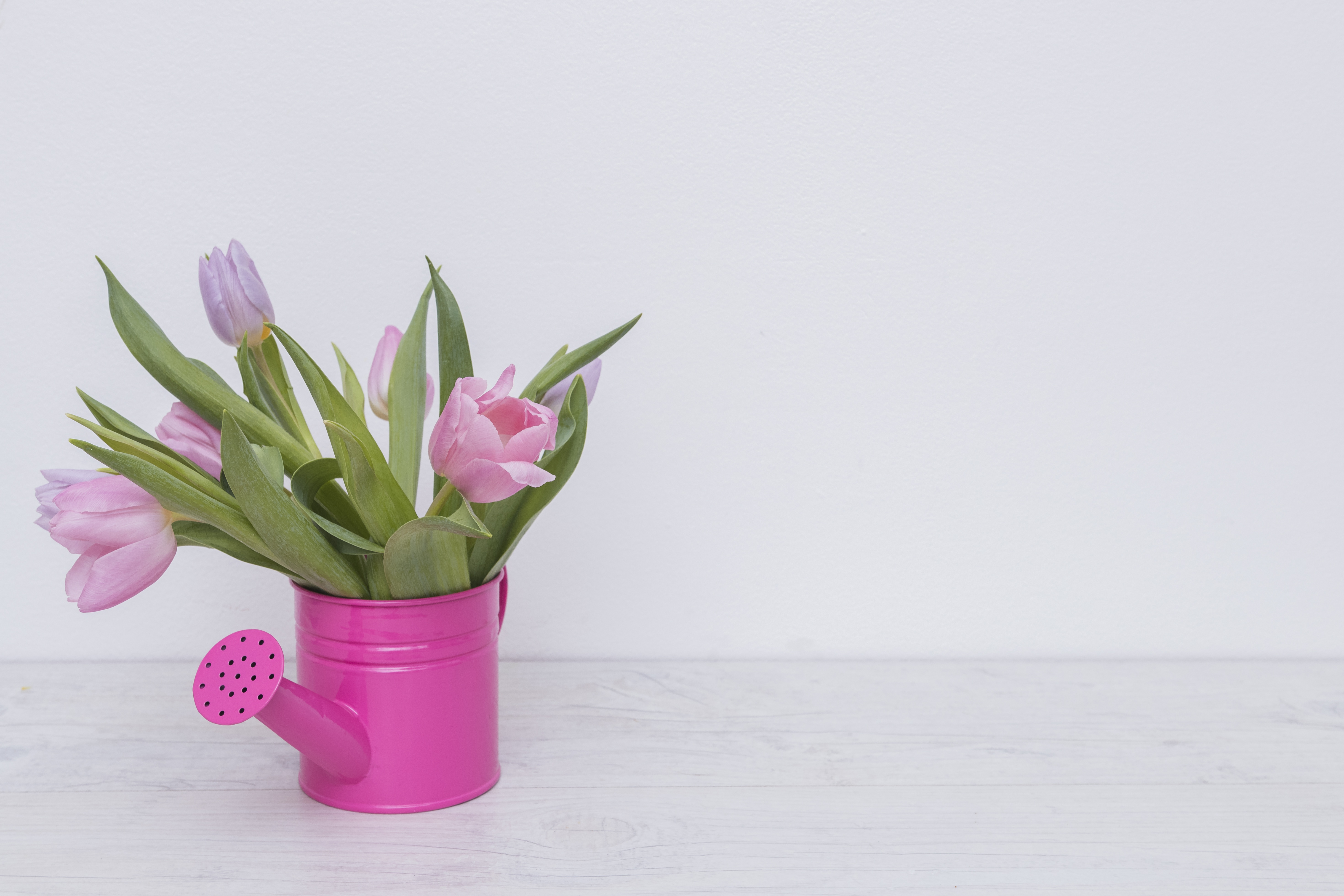 Тюльпаны минимализм. Тюльпаны в вазе. Розовые тюльпаны в вазе. Цветок в горшке Минимализм. Тюльпаны розовые нежные в вазе.
