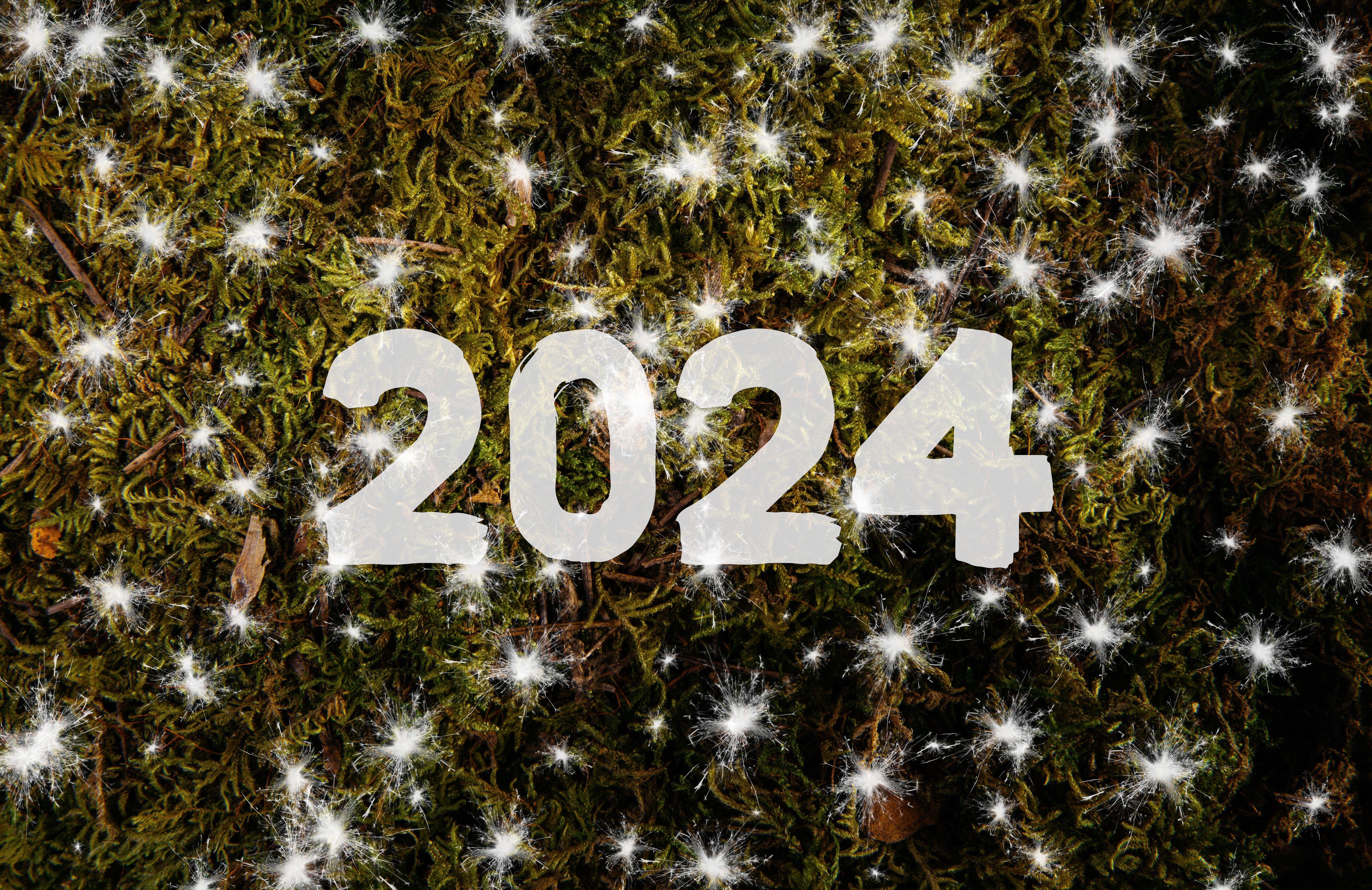 Новый год 2024 прогноз