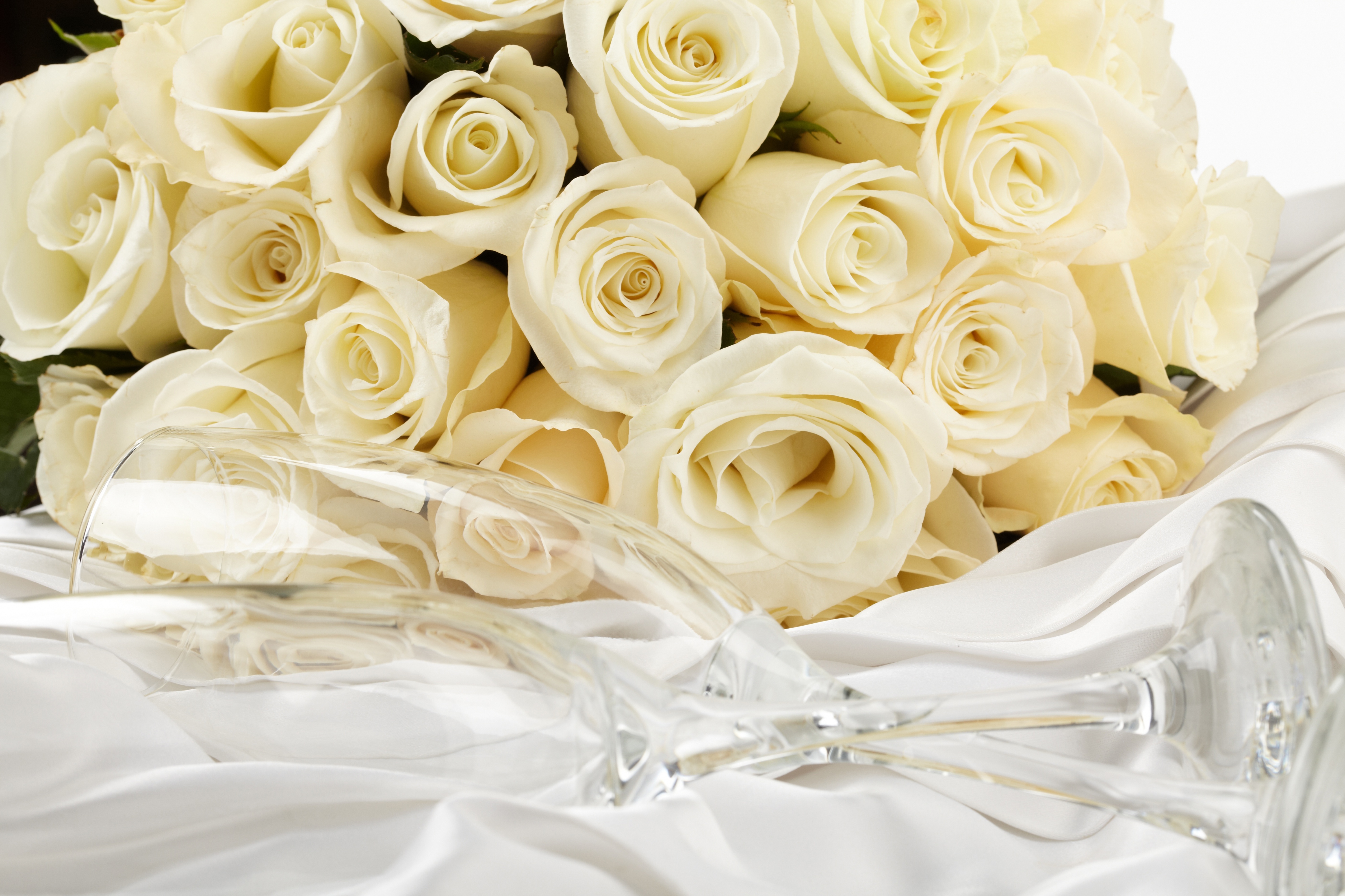 Я хочу туда где правят белые розы. Бежевые розы. Красивые белые розы. Красивые белые цветы.