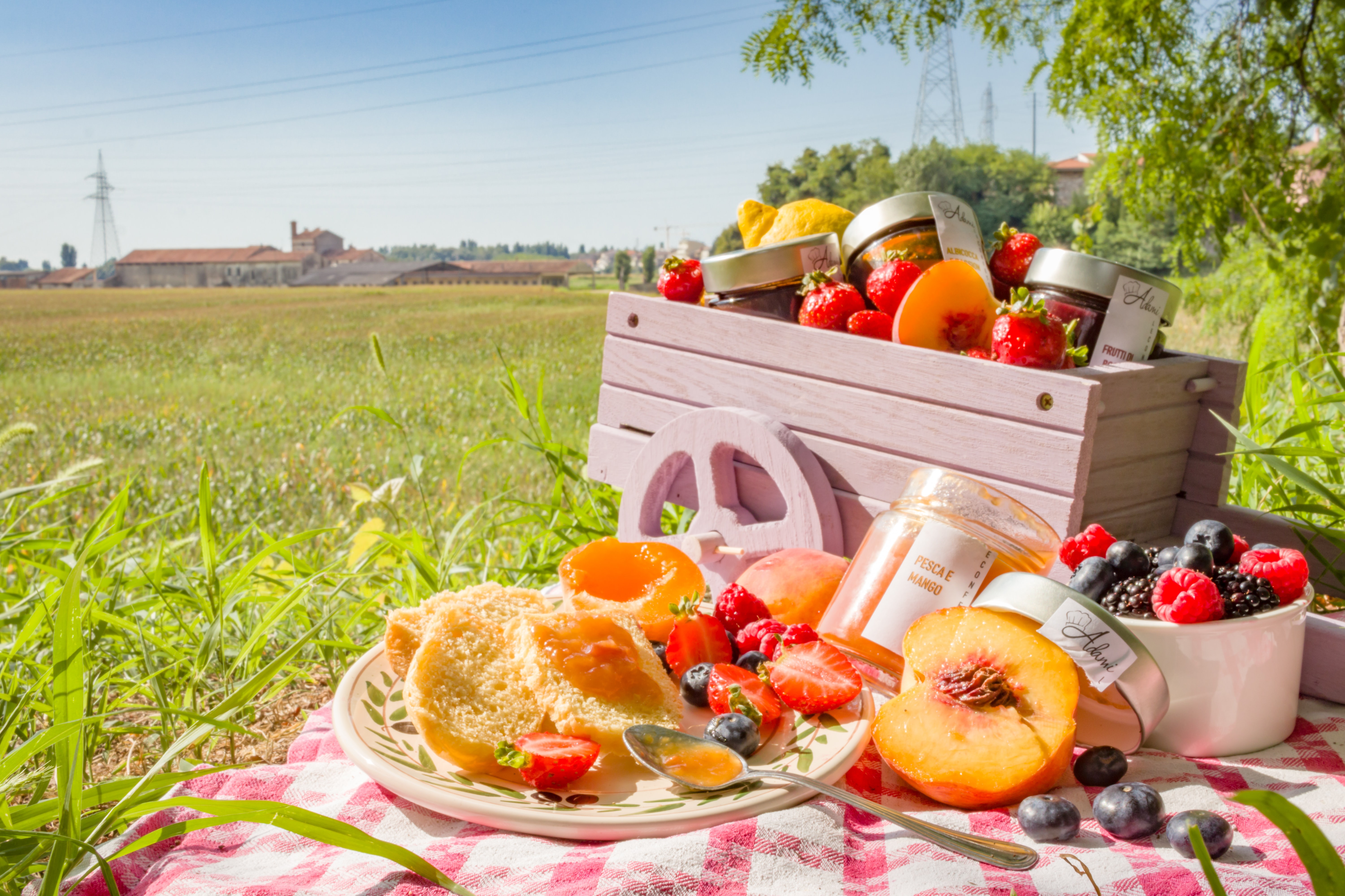Сегодня праздник души пикник. Пикник с фруктами. Летняя еда. Фрукты на пикник летом. Питание летом.