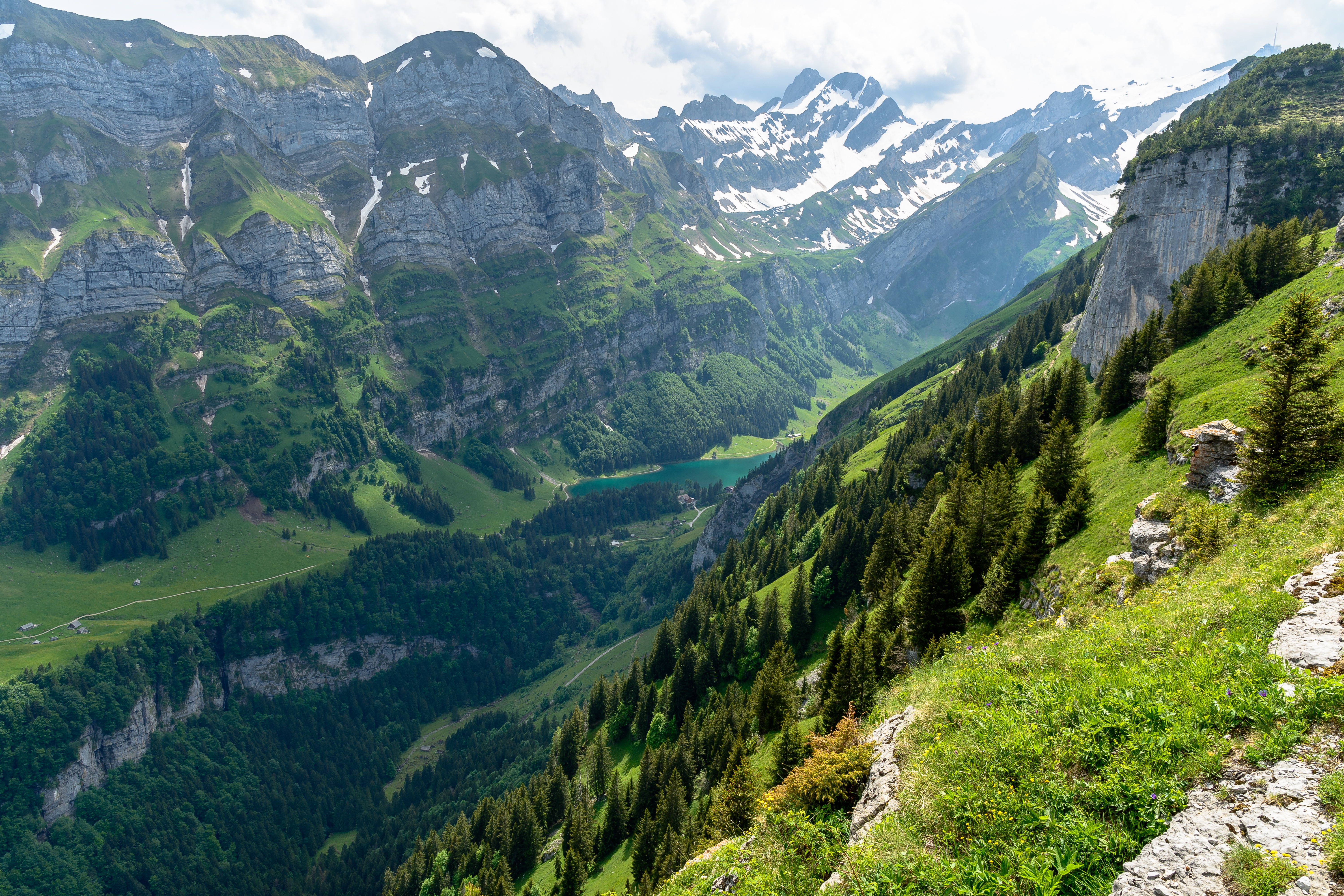 Между гор и леса. Озеро Зеальпзе, Швейцария. Альпийские Луга Швейцария. Швейцария горы Альпы. Природа Швейцарии Альпы.