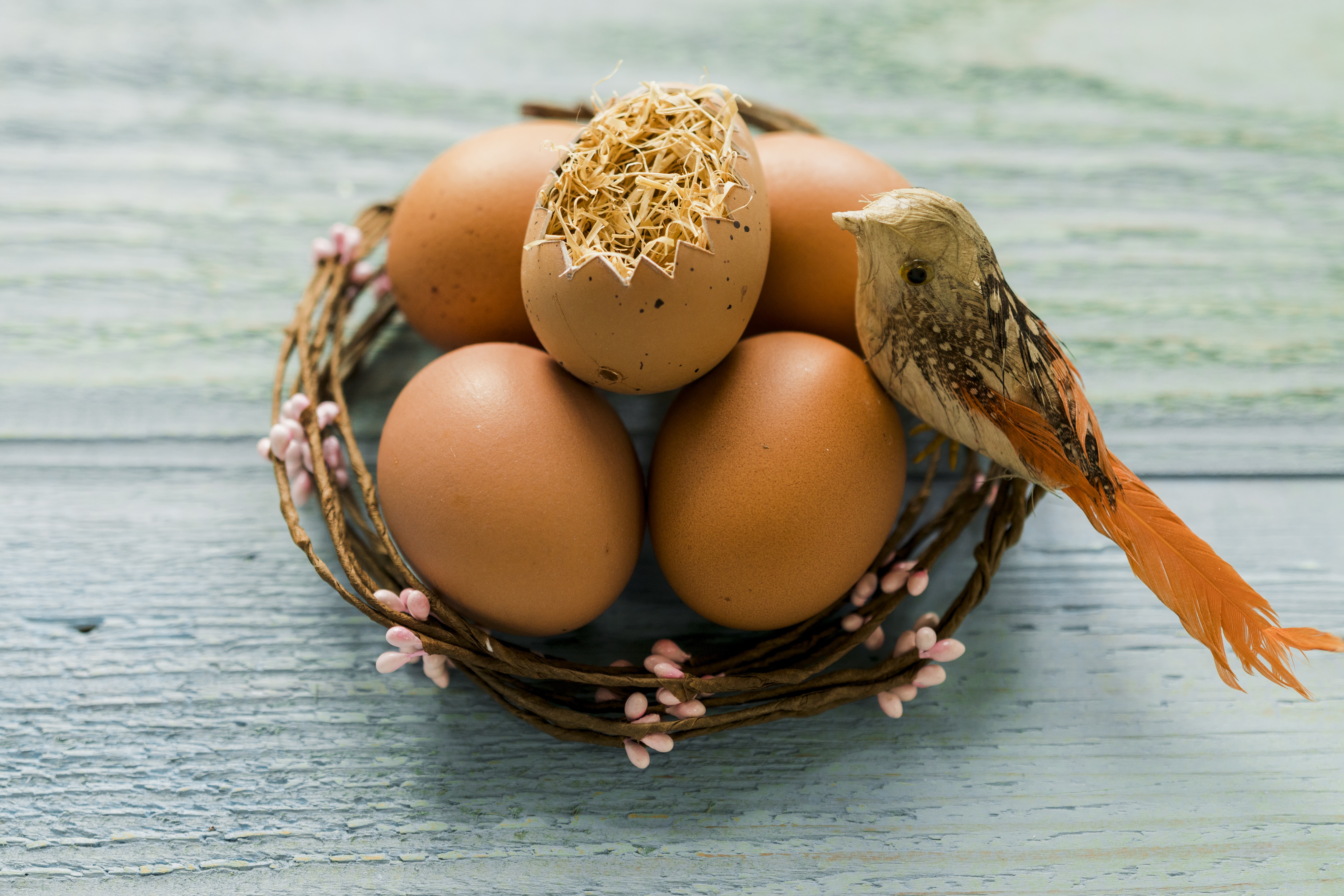 Песня птички яички. Пасхальное гнездо. Яйца птиц. Гнездо с яйцами. Гнездо для птиц..
